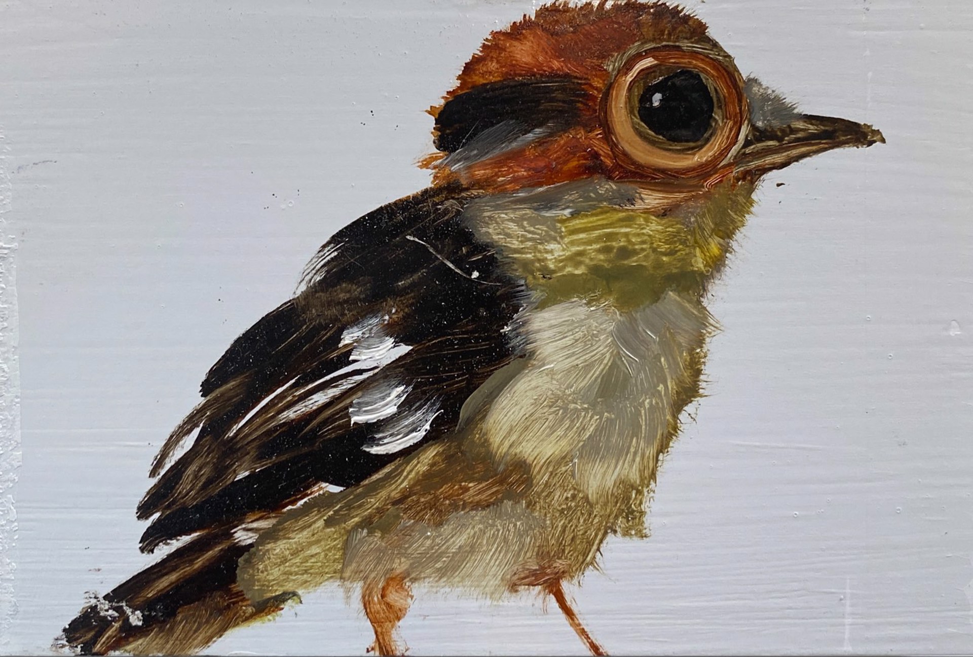 Bird Block (red head) by Diane Kilgore Condon