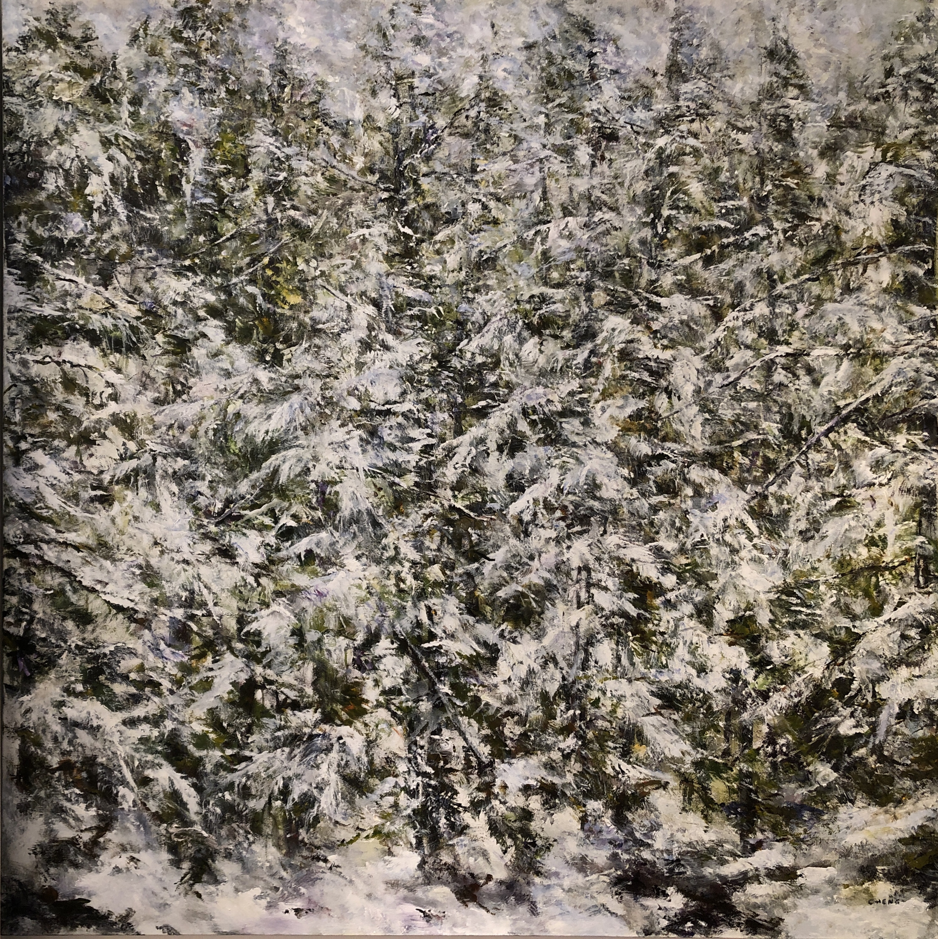 Snow Covered Forest by Judy Cheng