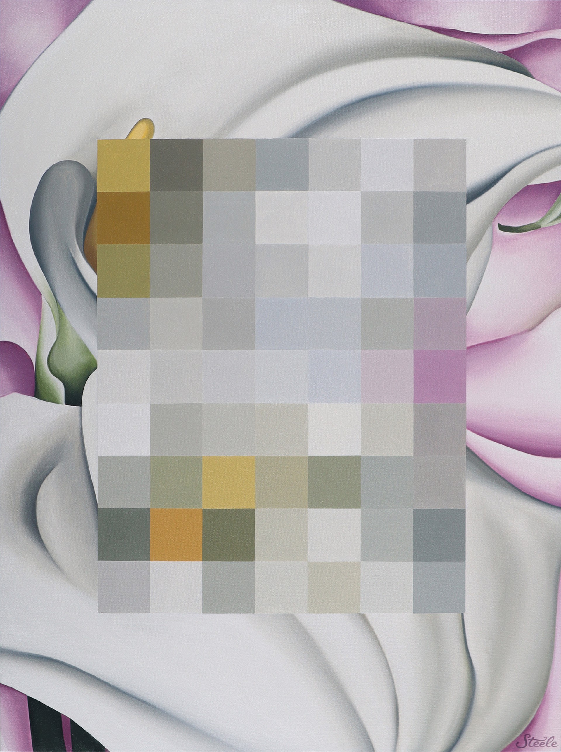 Censored:  Two Calla Lilies on Pink by Ben Steele