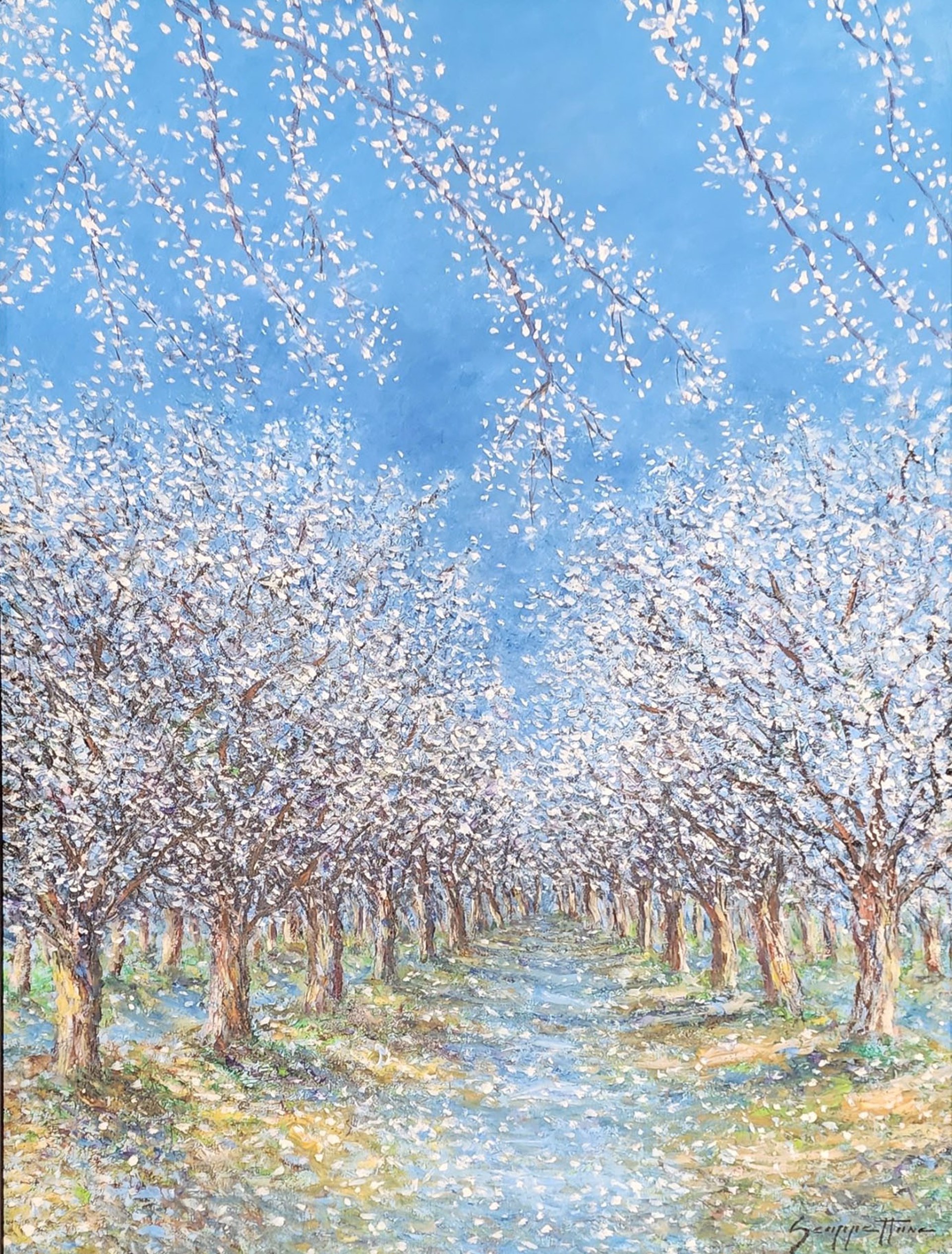 Almond Blossom Cascade by James Scoppettone