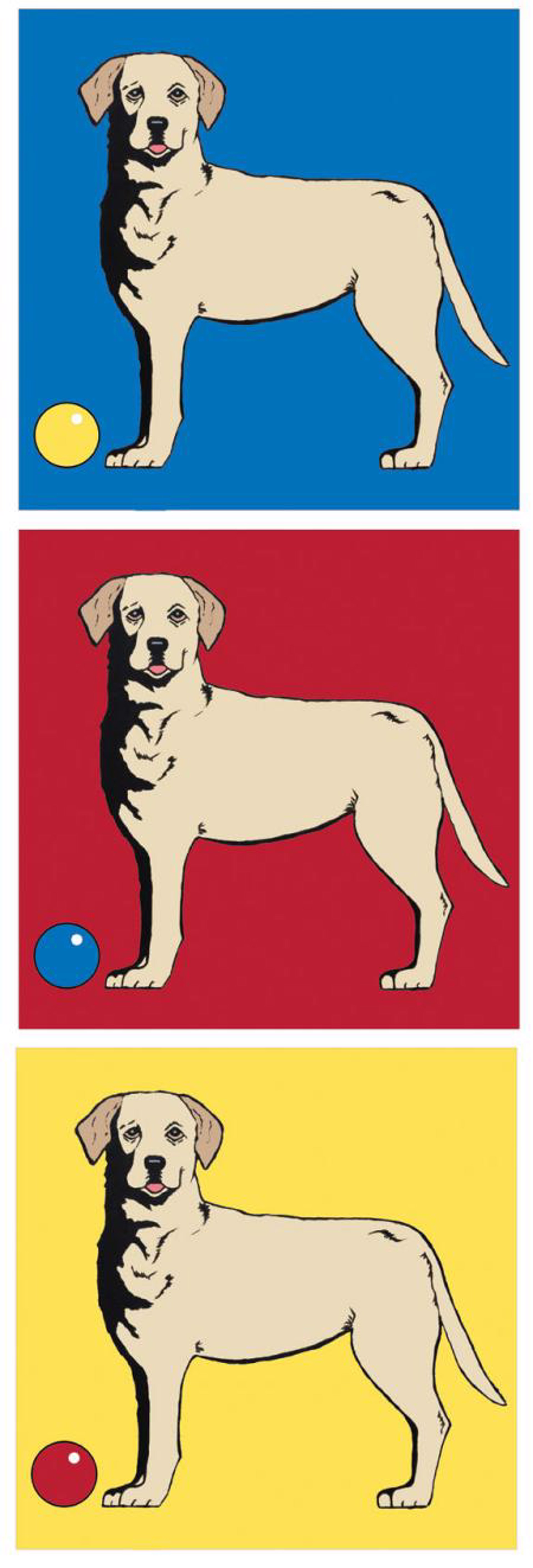 Yellow Lab 3 Up (pop) by Gloria Lee