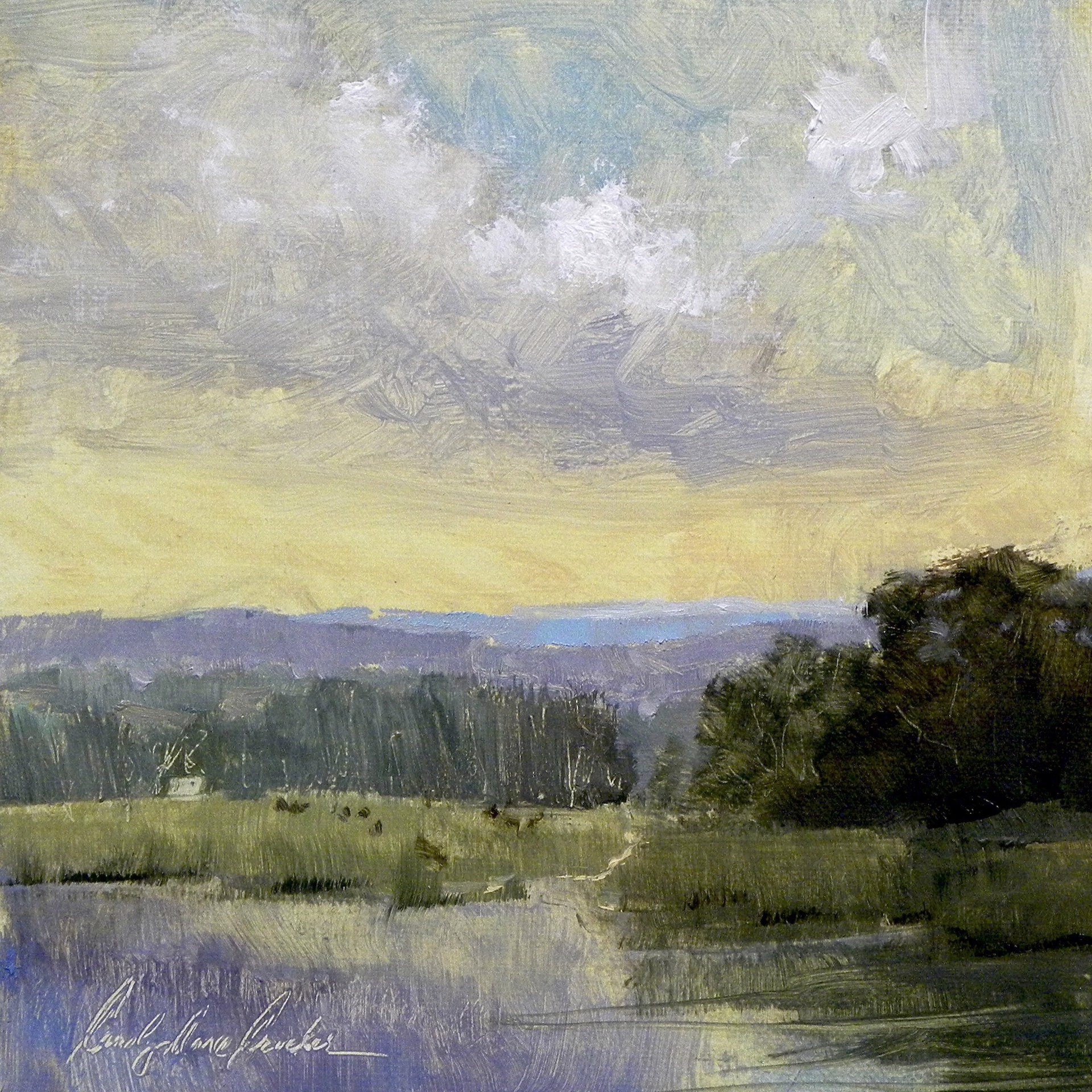 Appalachian Sky by Carolyn Anne Crocker