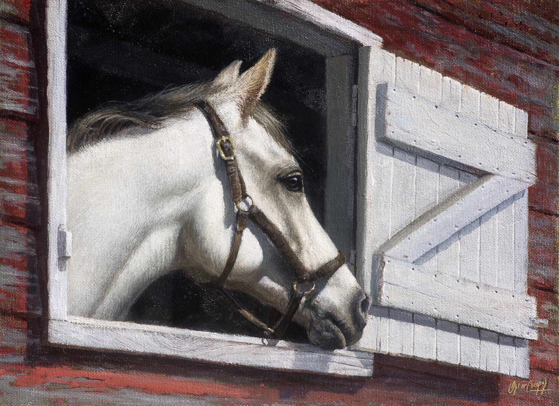 White Horse in Barn by Oscar Campos