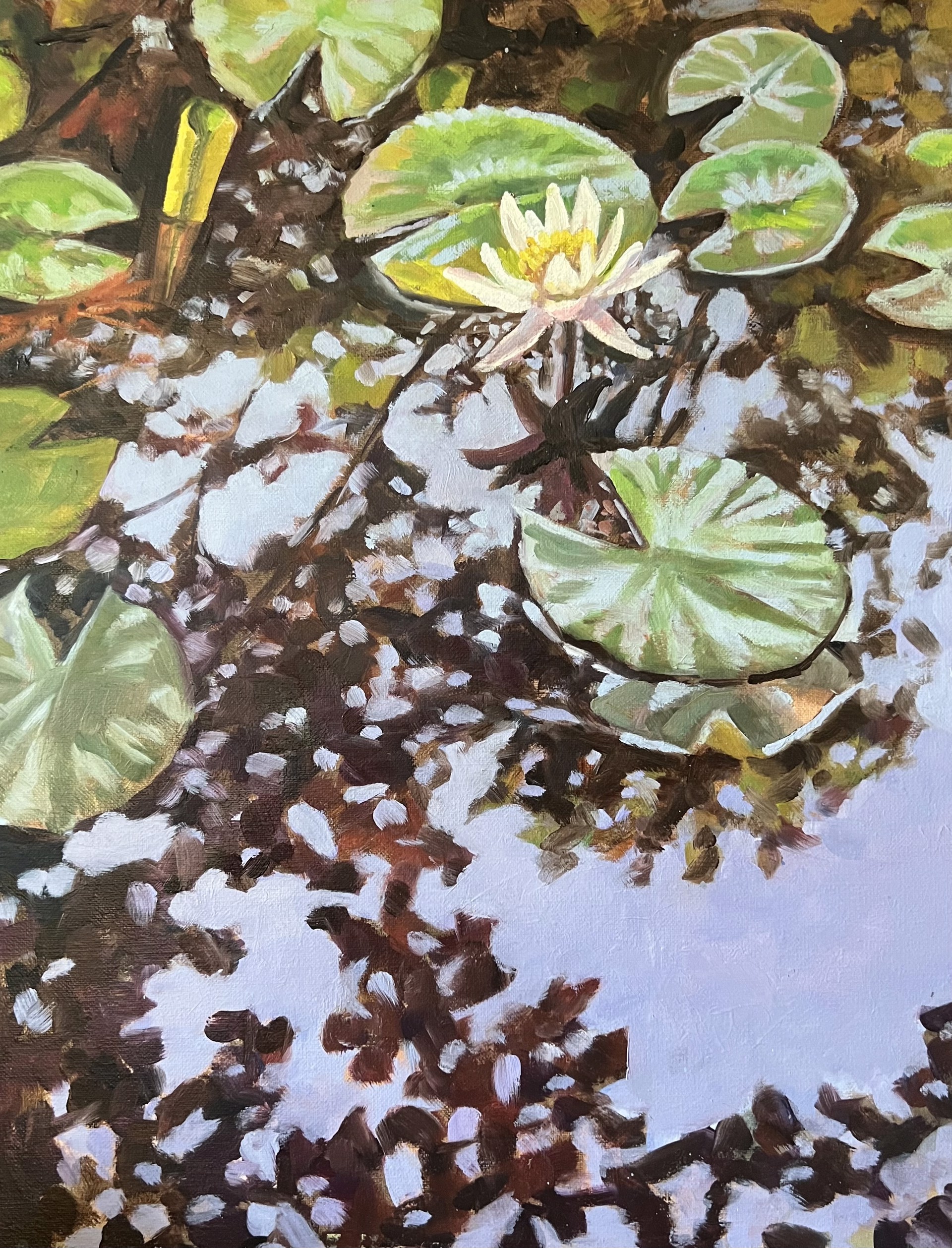 Water Lillies by Holly L. Smith