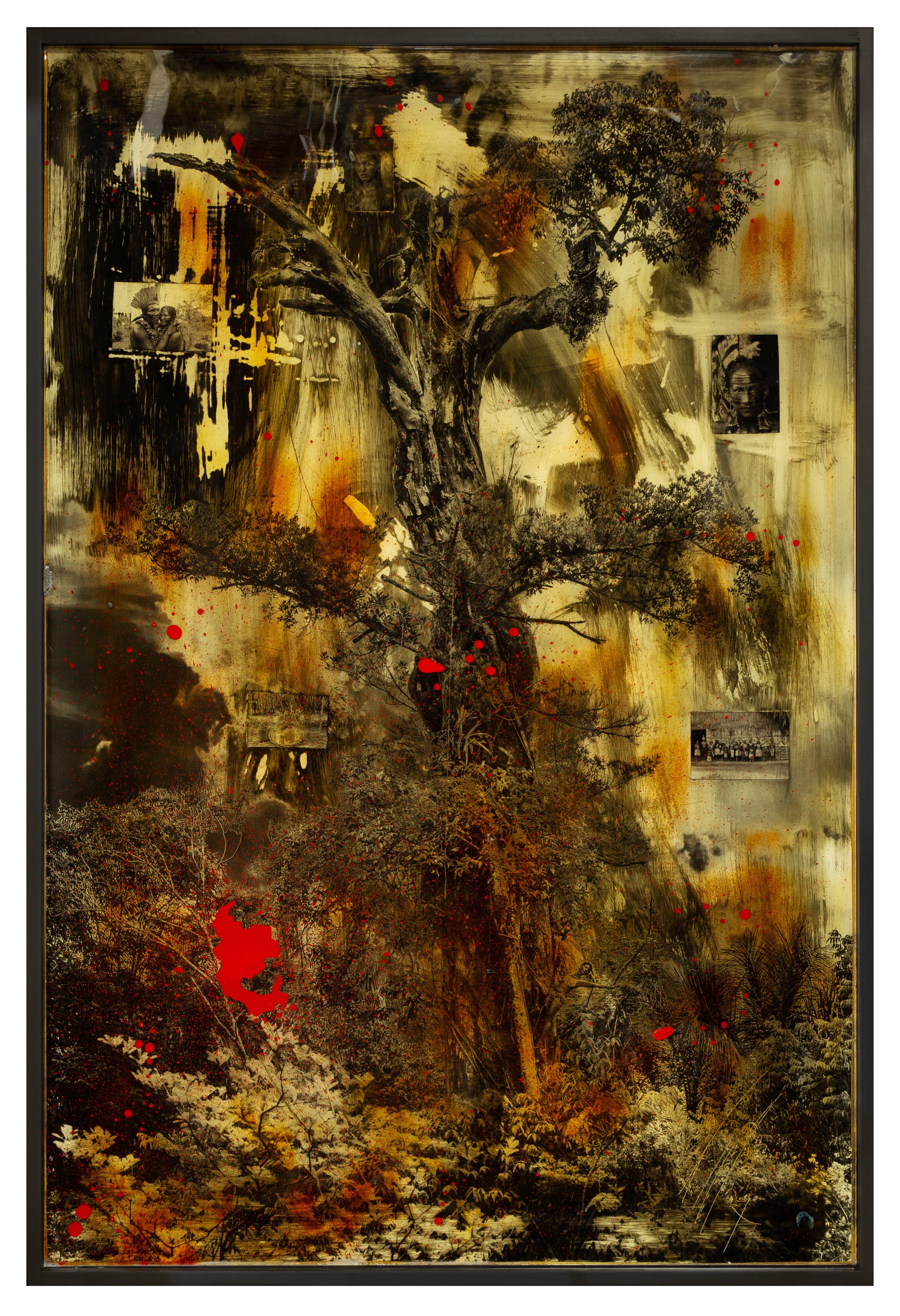 Tree by Raphael Mazzucco