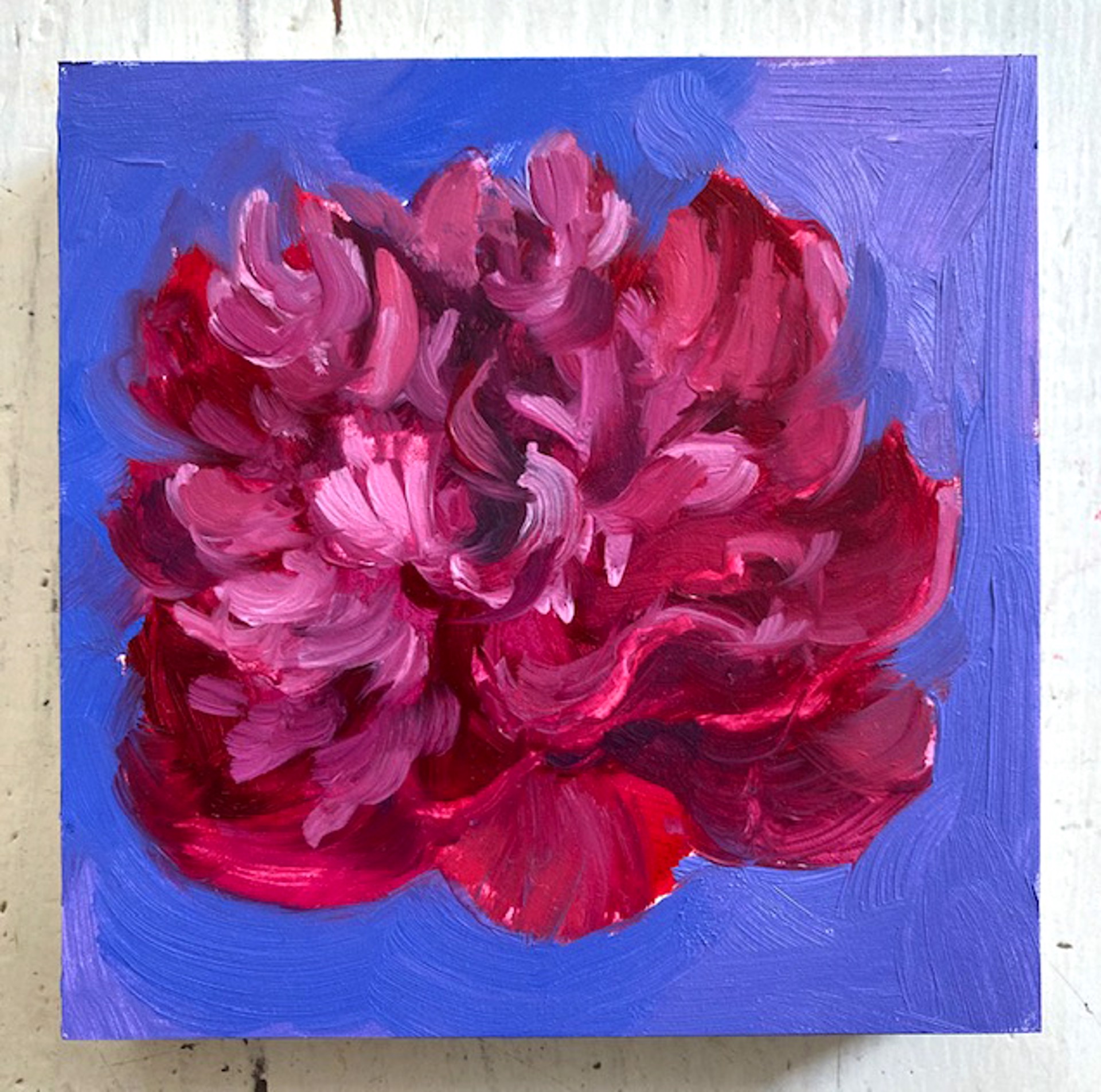 Peony Project #49 by Amy R. Peterson*