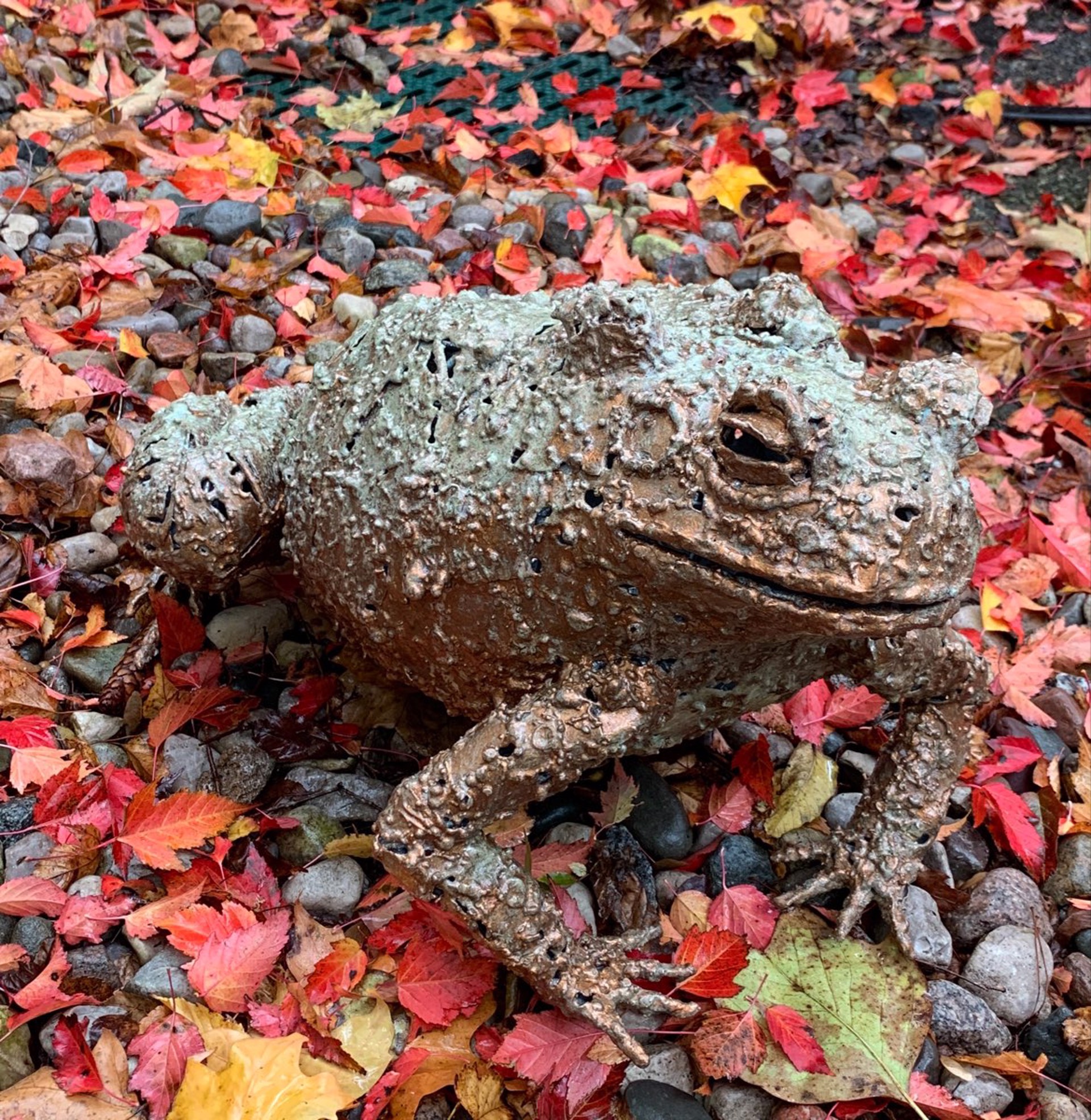 Small Toad by William Allen