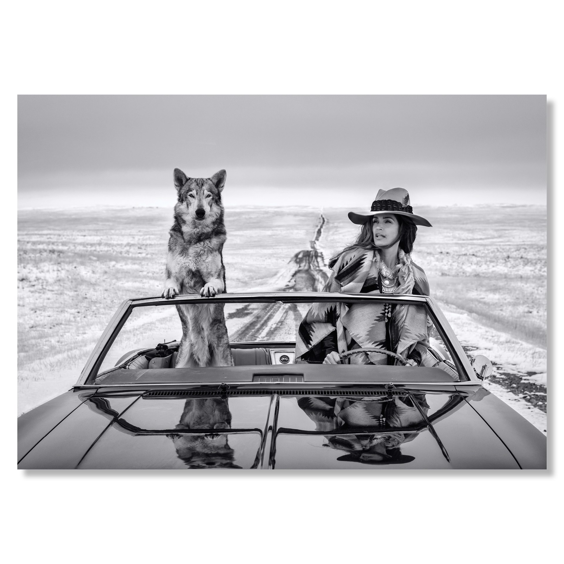 On the Road Again (19/20) by David Yarrow