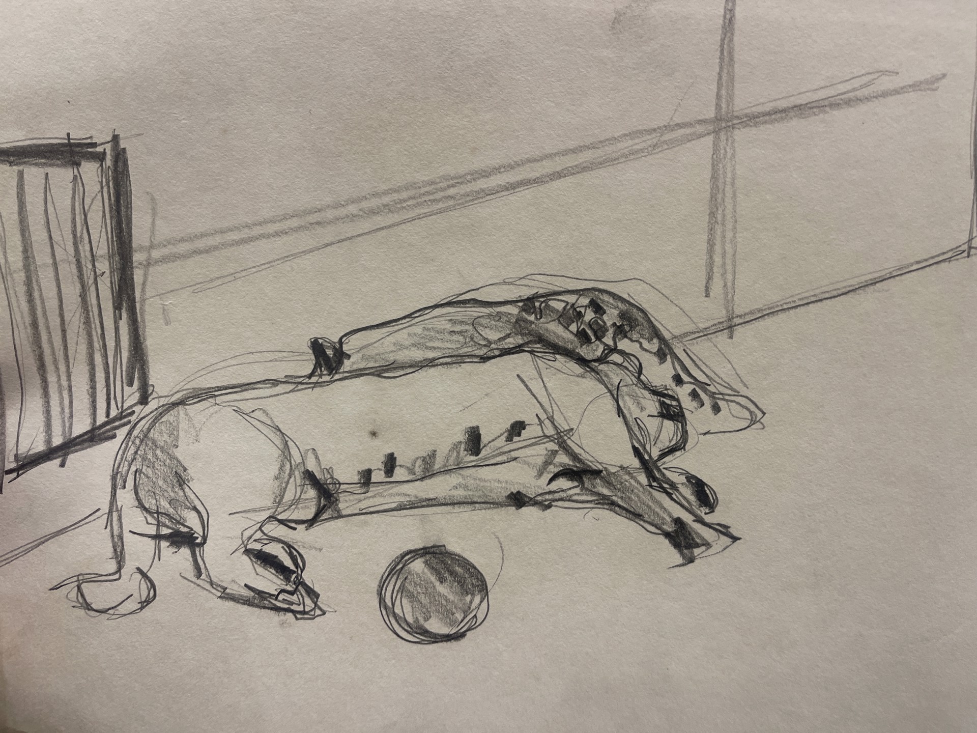 Dog with Ball Draft by Shirley Rabe' Masinter