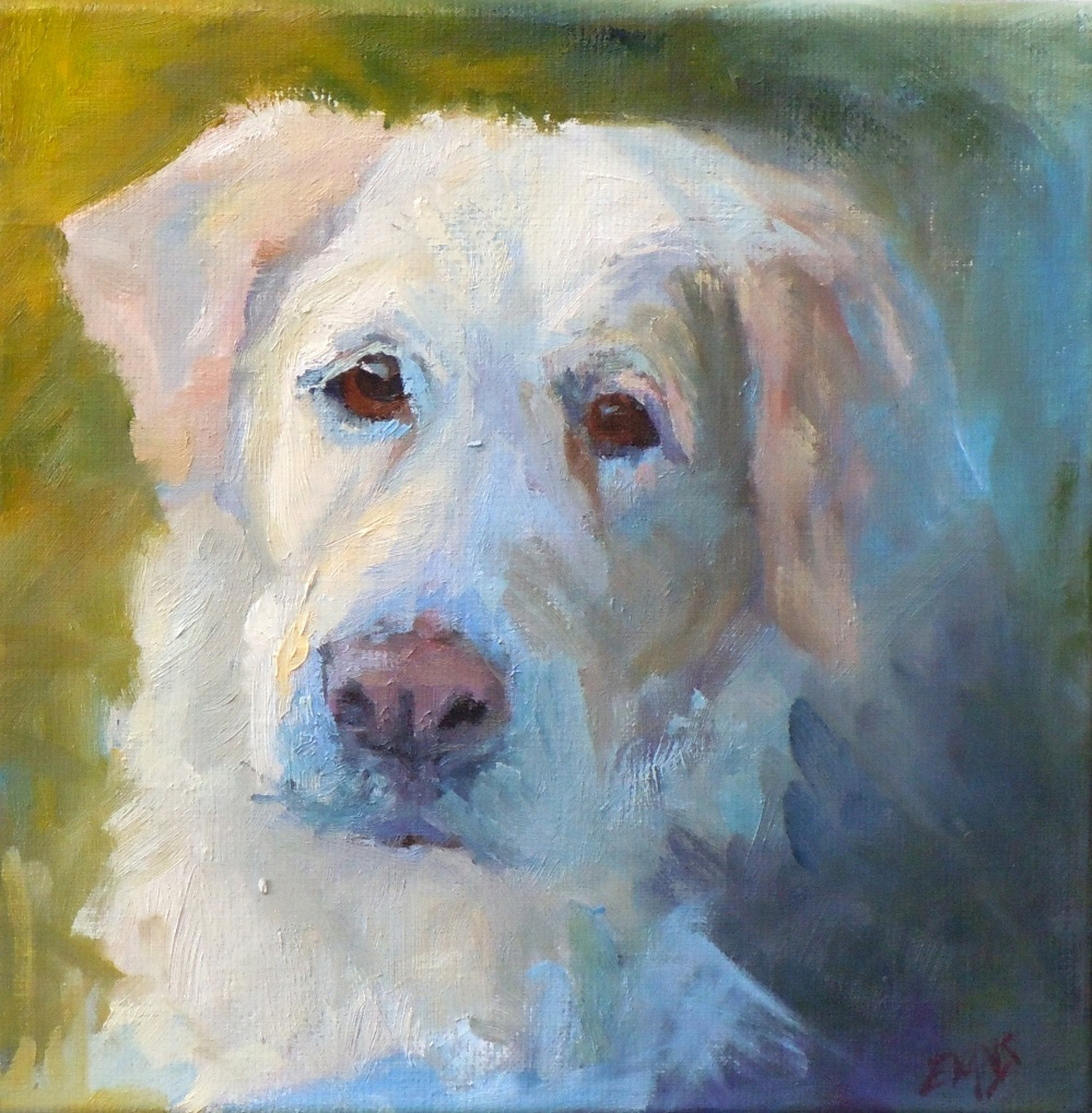 Dog Portraits by Amy Evans