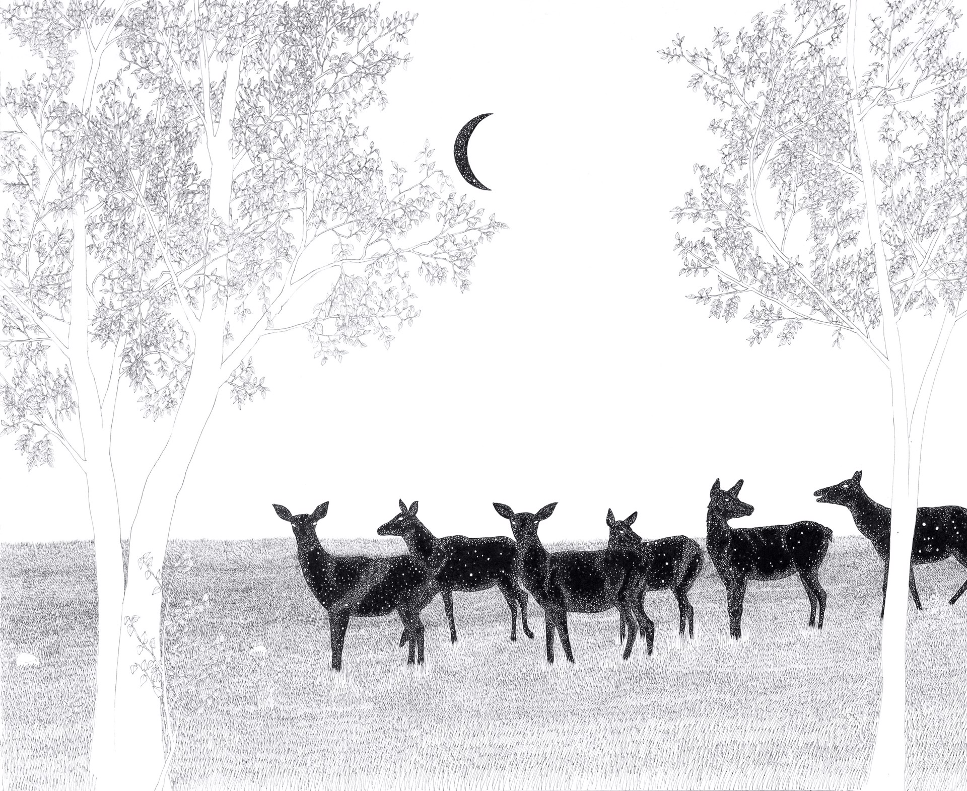 Matriarchy (Elk Pack) by Izumi Yokoyama