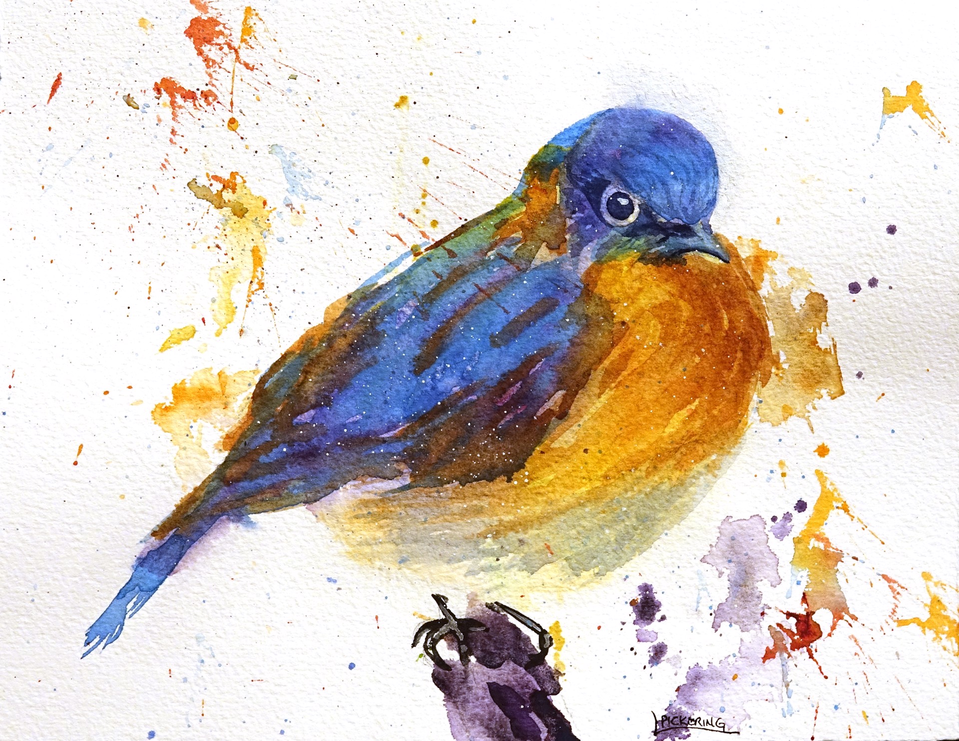 Bluebird by Laura Pickering