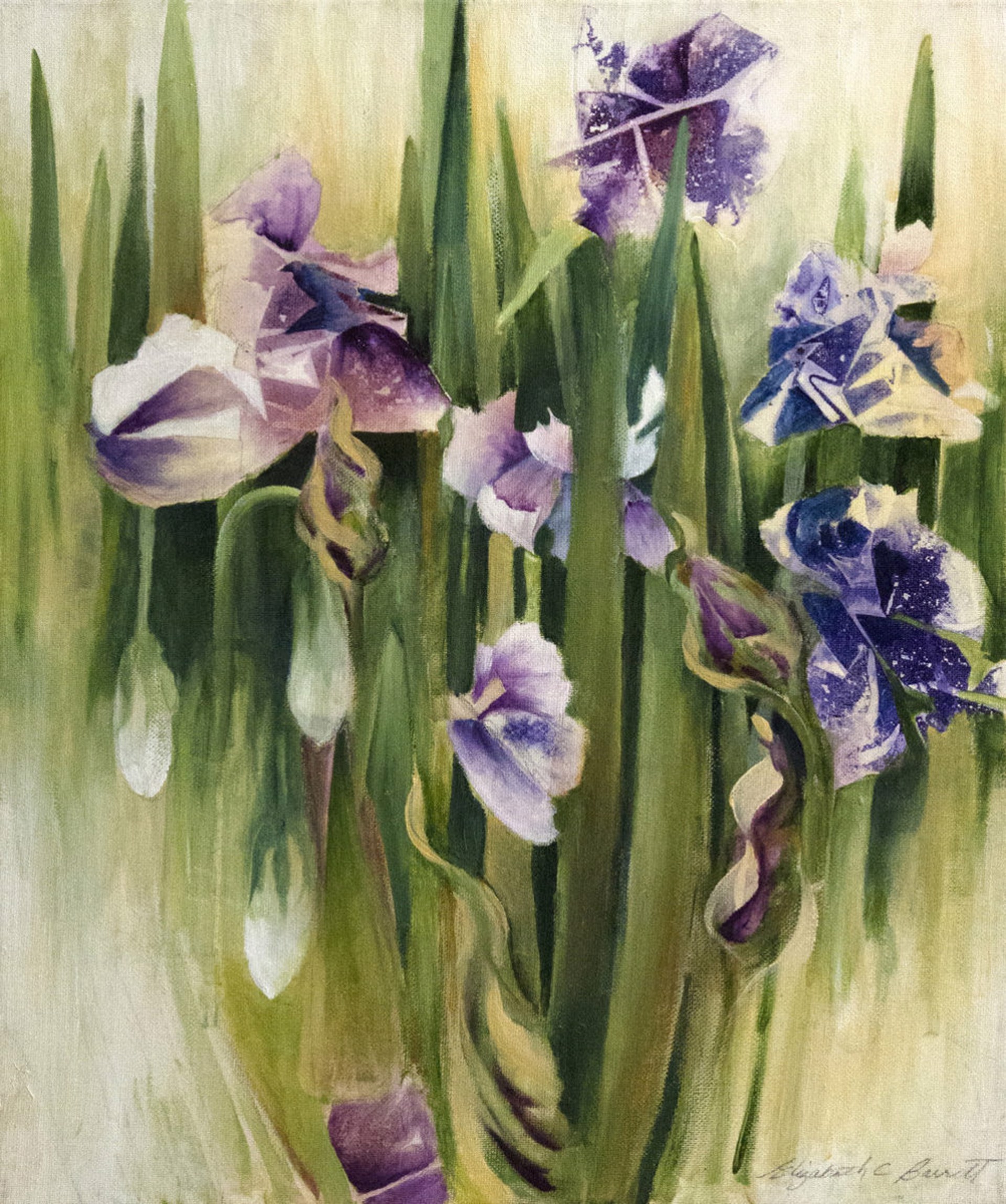 Irises by Elizabeth Barrett