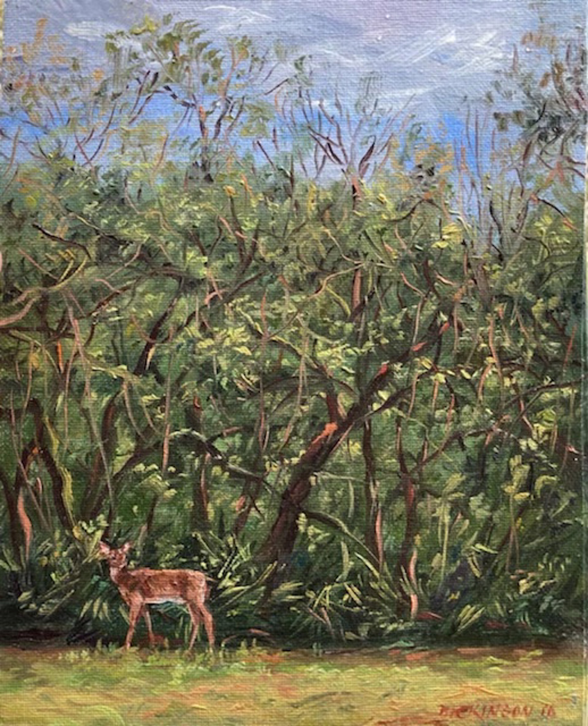 Florida Deer by Charles Dickinson