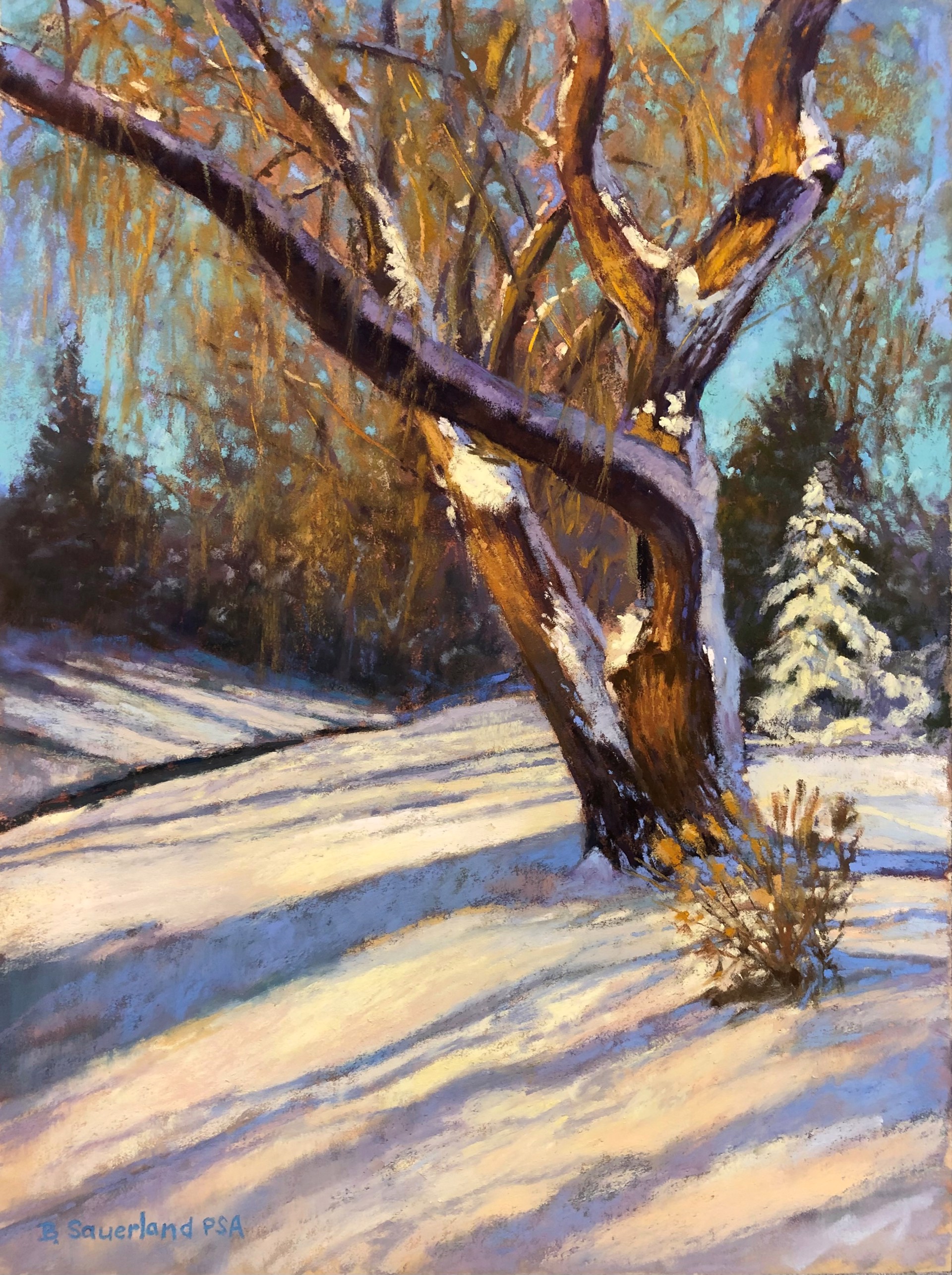 Winter Willow by Brian Sauerland
