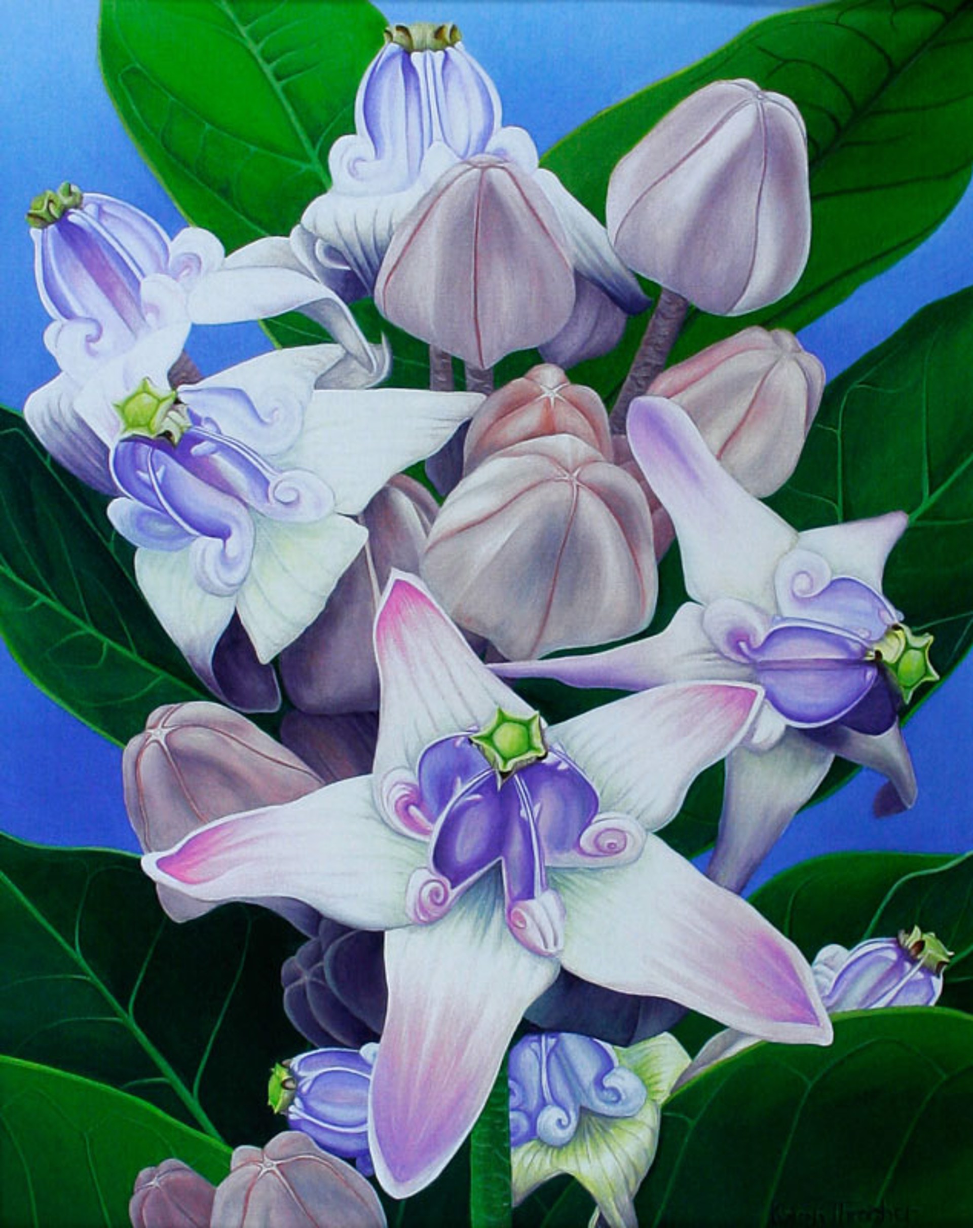 Crown Flowers by Karen Thrasher
