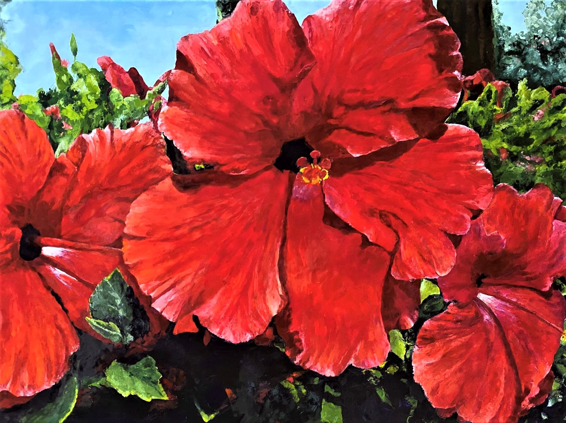 Red Hibiscus by Bob Fesser