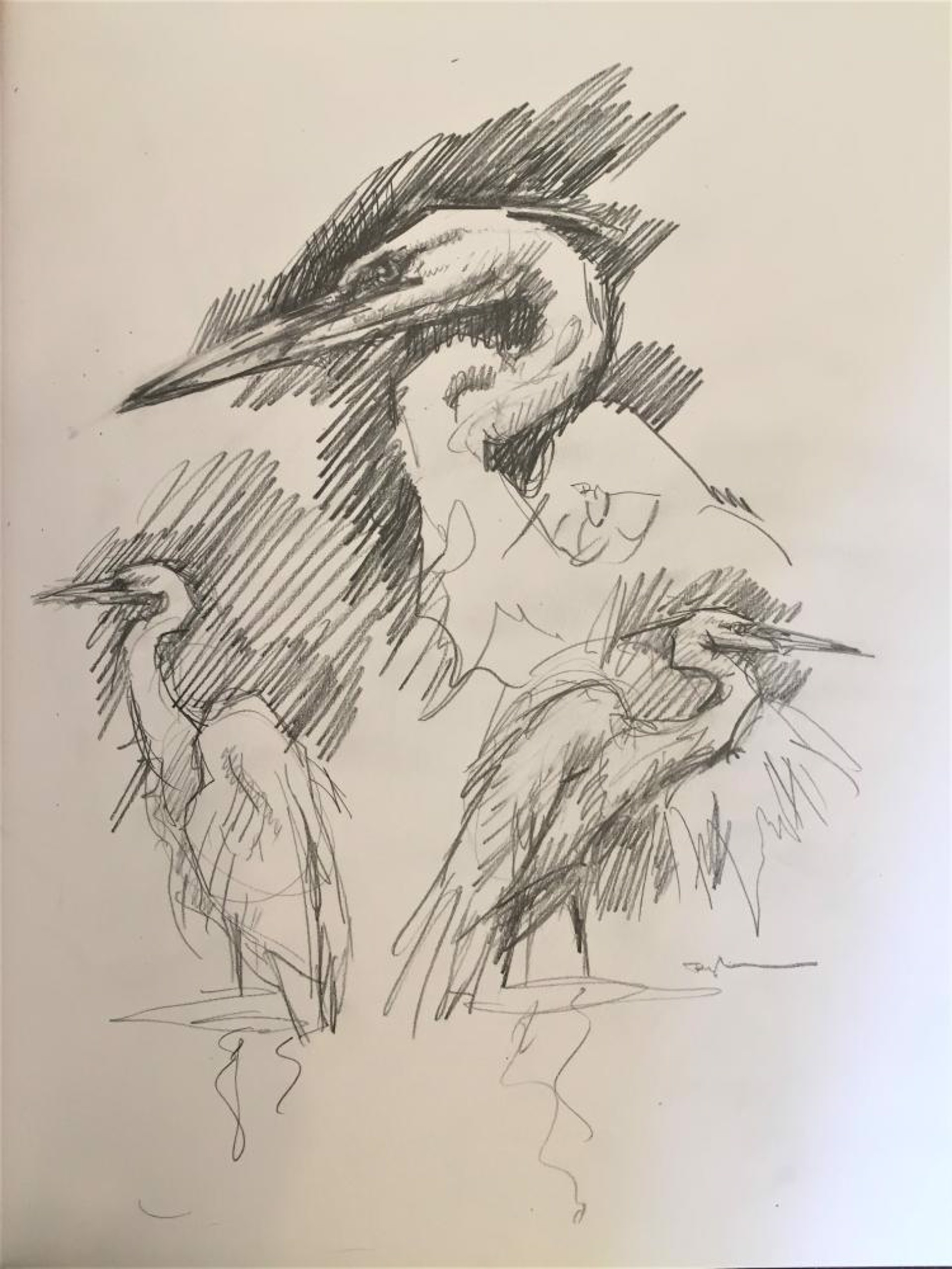 Egret Study by John Carroll Doyle