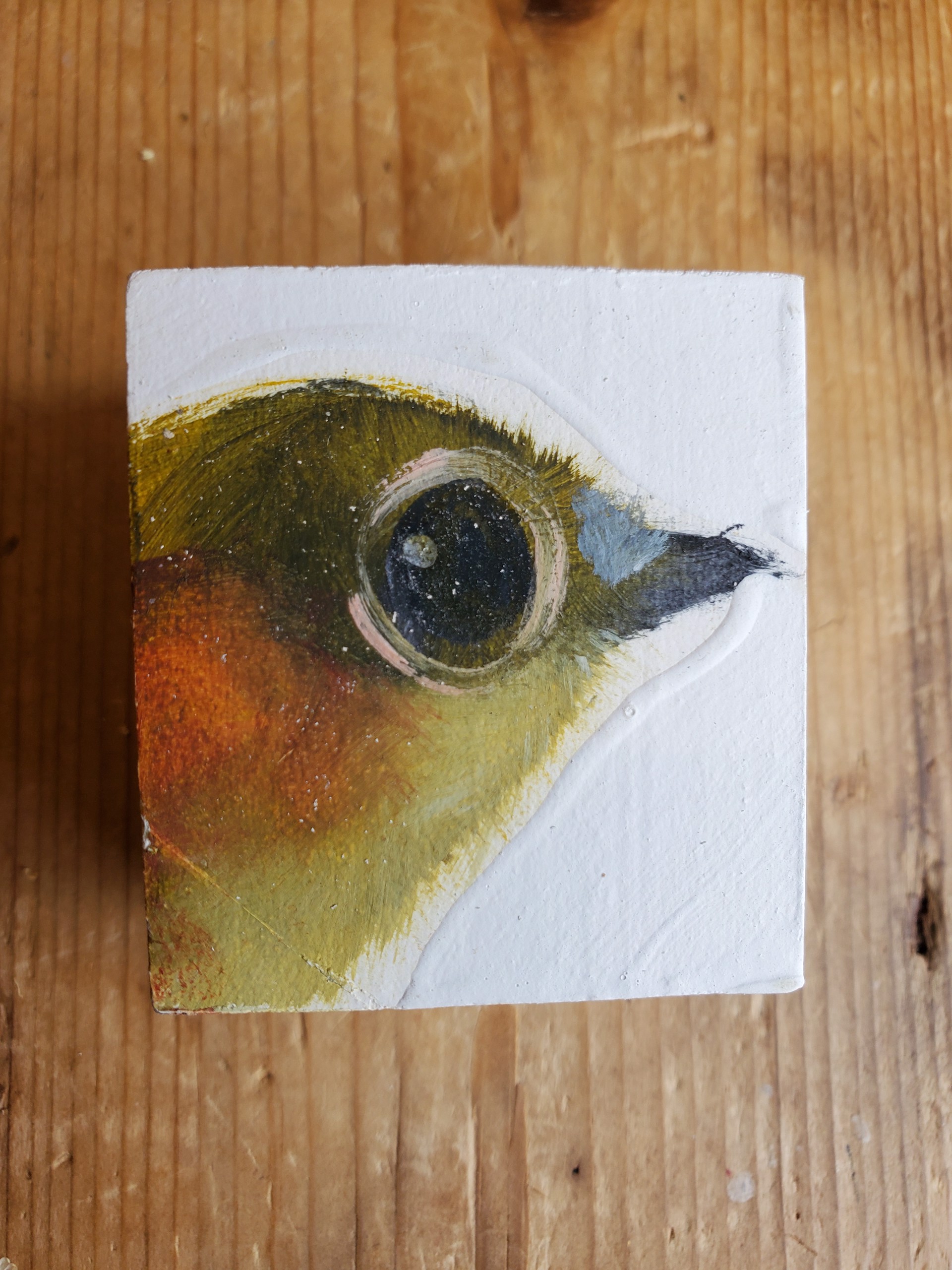 Baby Bird Block by Diane Kilgore Condon