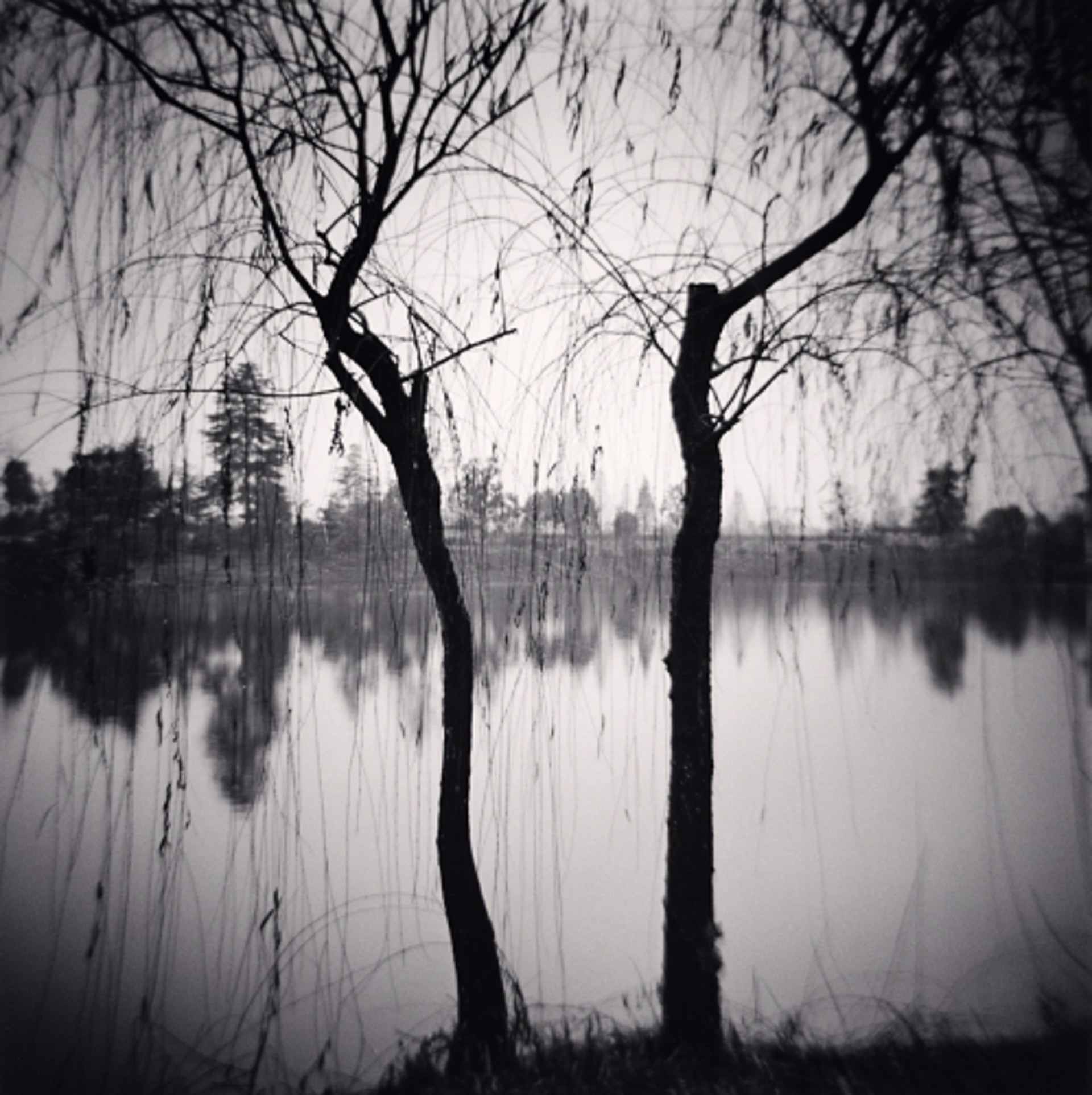Afternoon Trees, Shexian, Anhui (edition of 45) by Michael Kenna