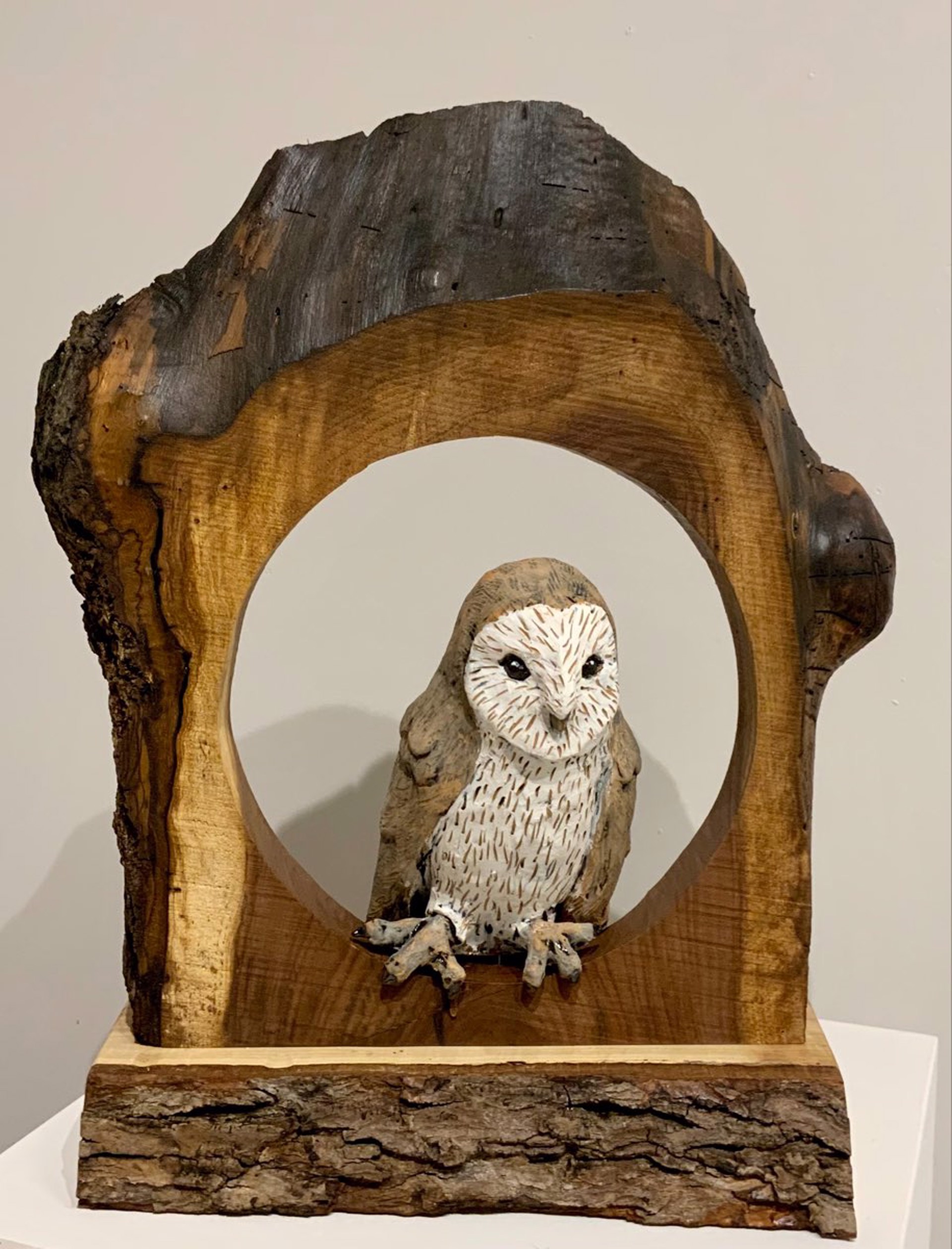 Perching Owl by Janet Leazenby