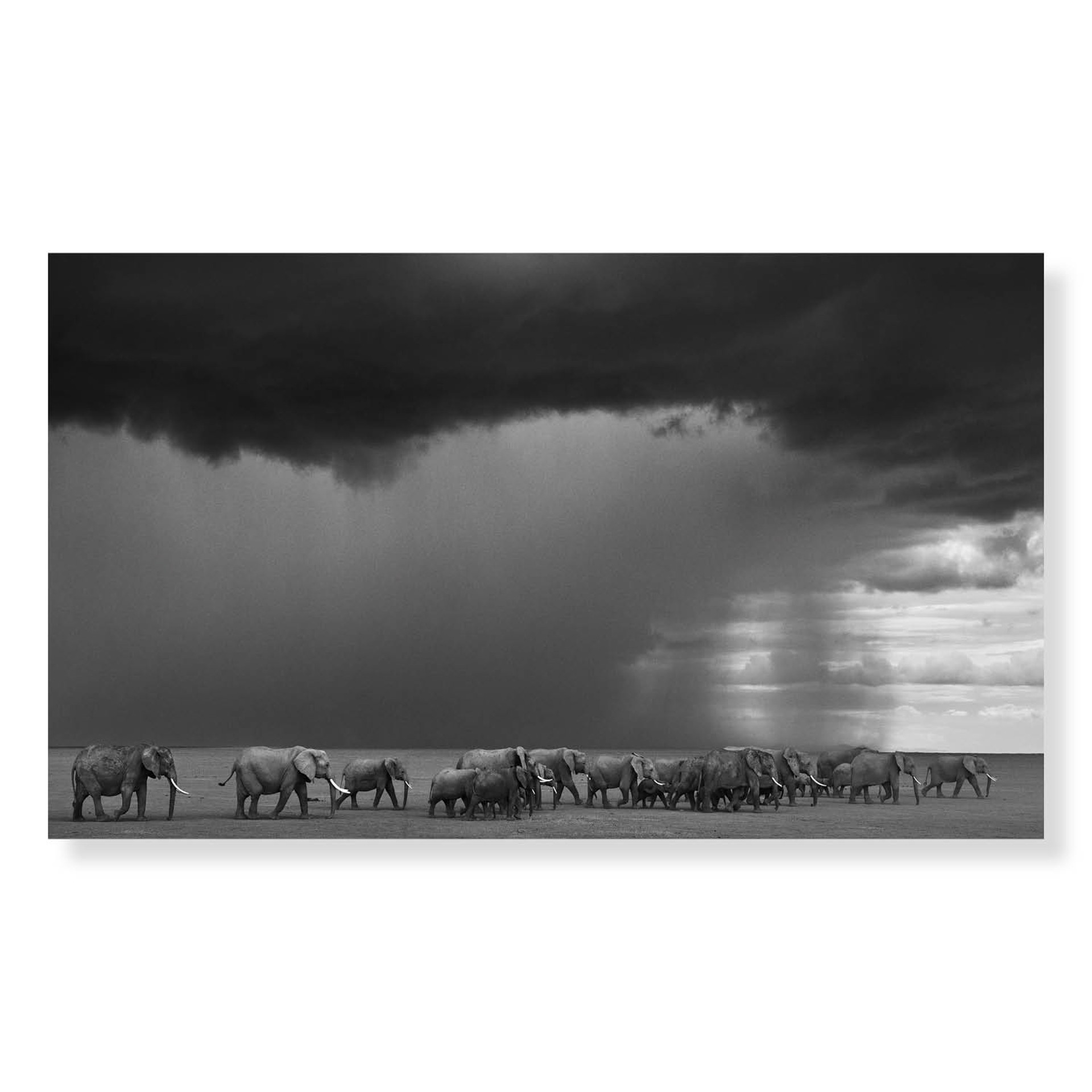 The Gathering Storm by David Yarrow
