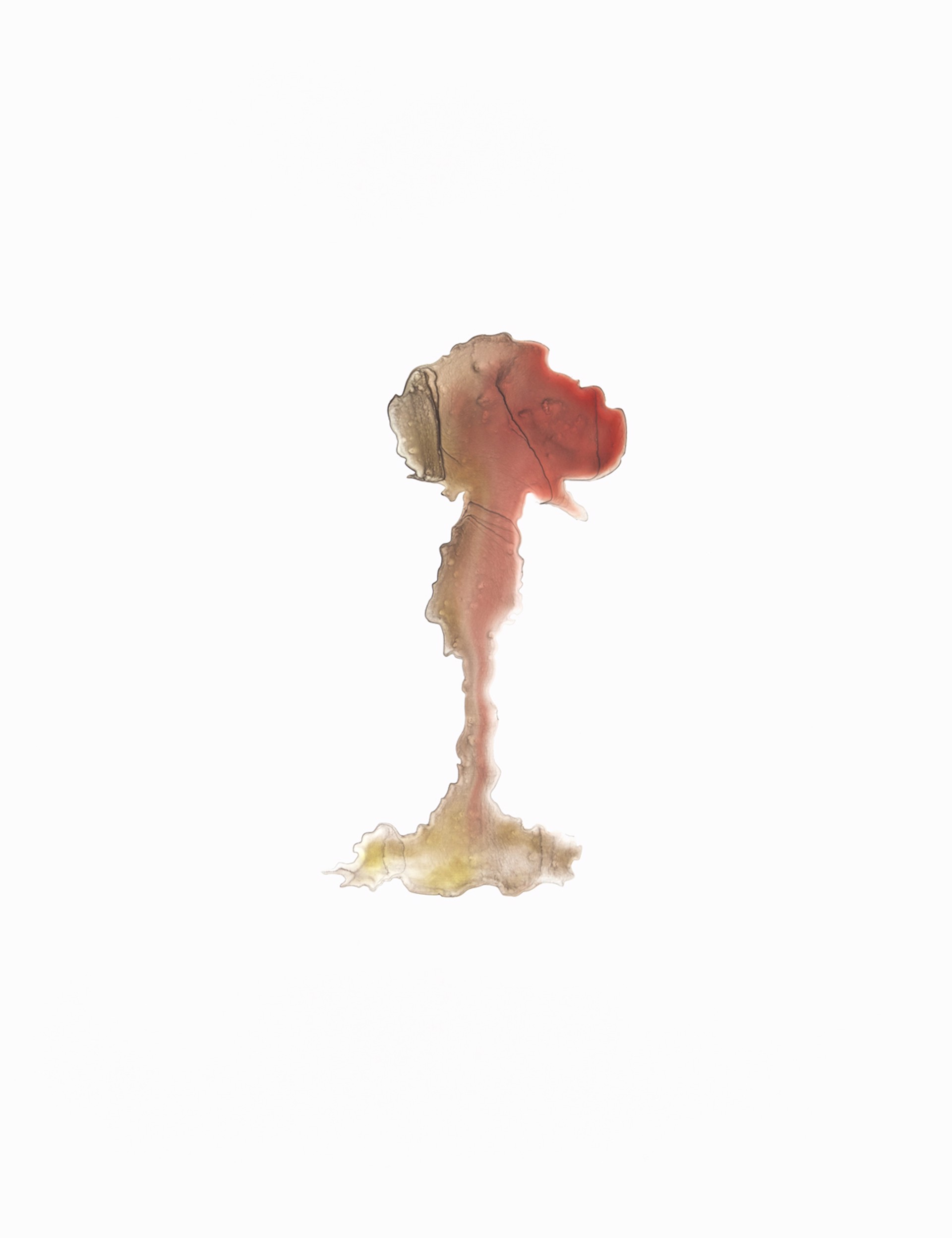 Mushroom Cloud #1.7 by Jugnet + Clairet