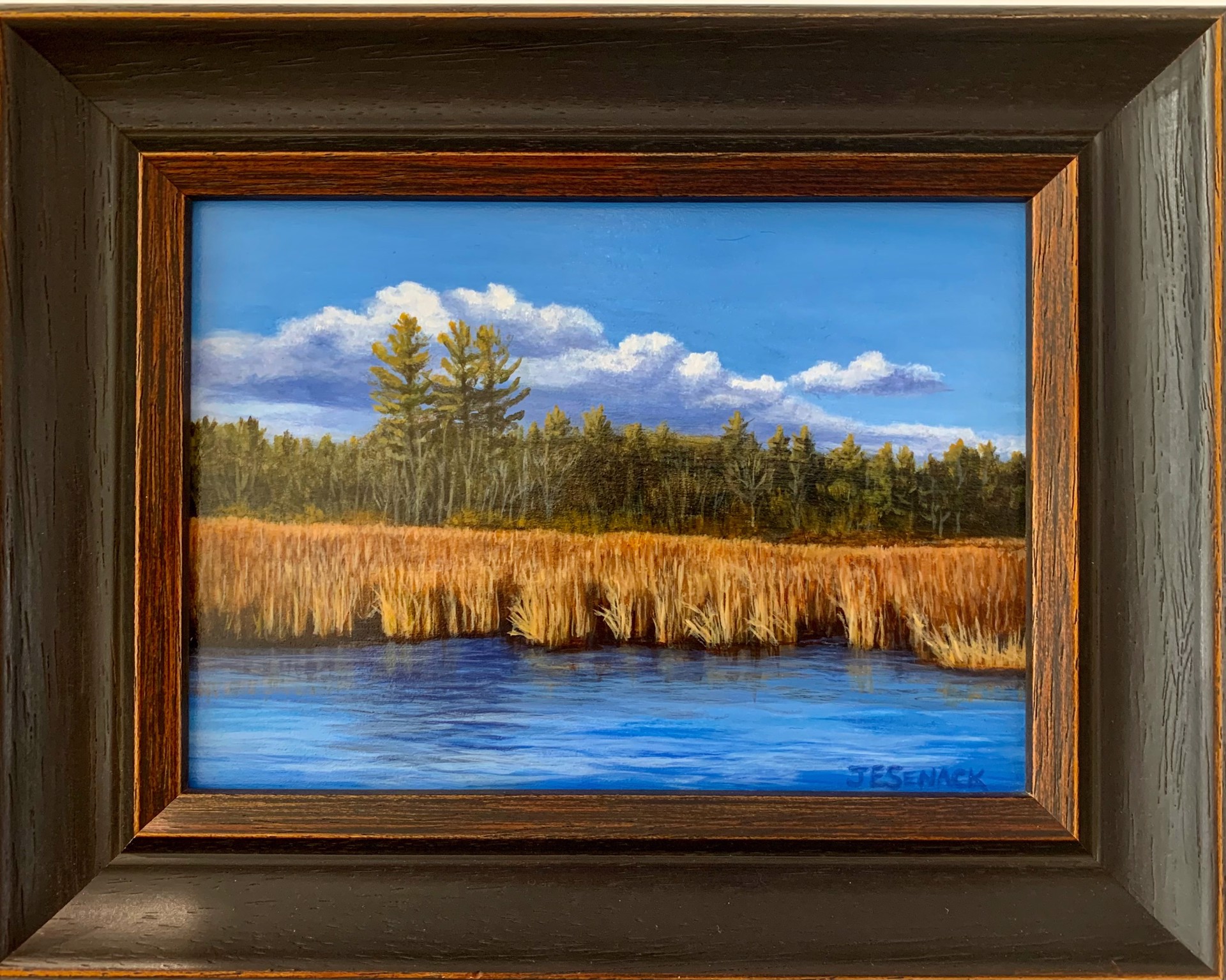 Marsh in Autumn by J.Elaine Senack