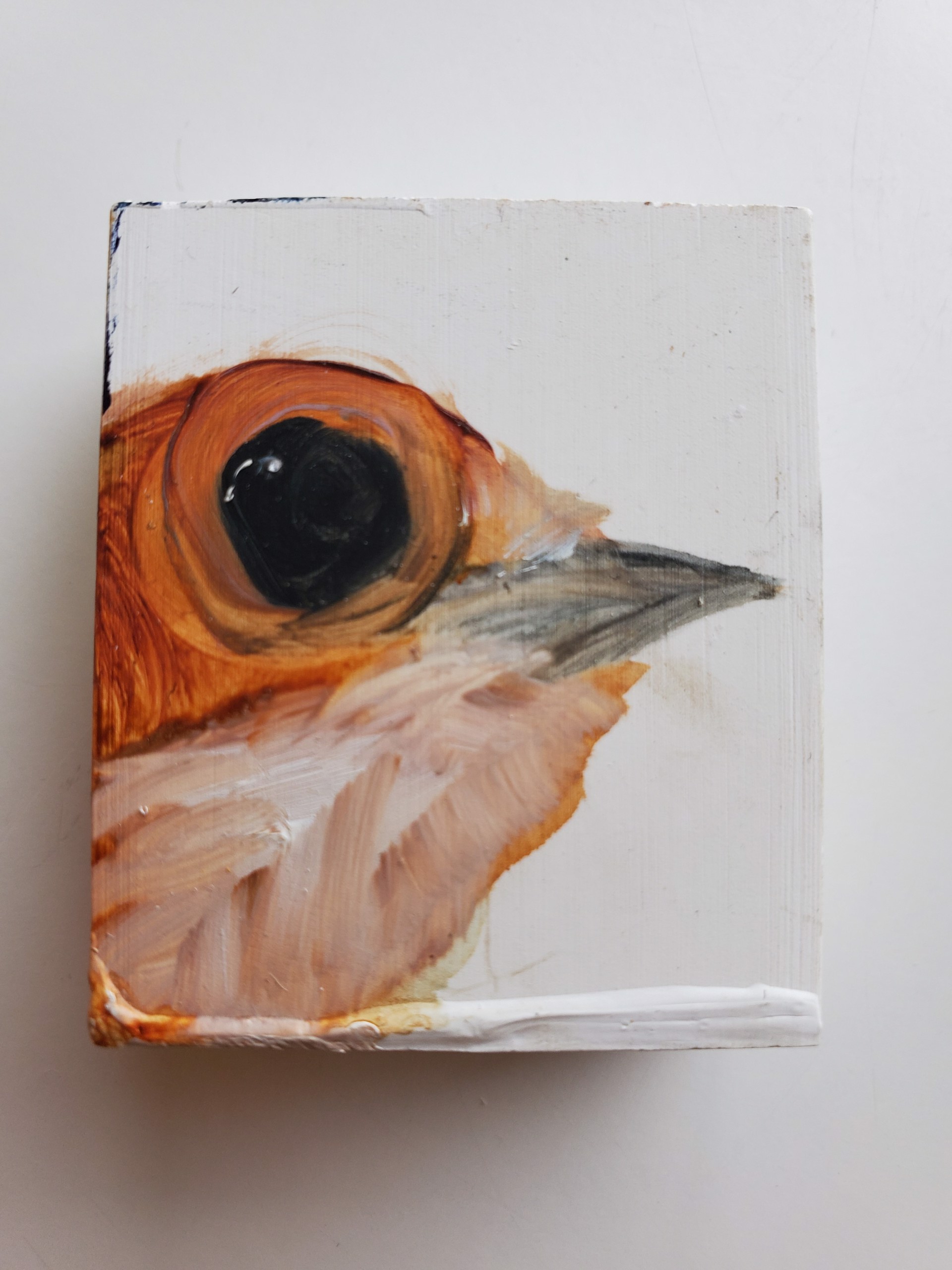 Baby bird block by Diane Kilgore Condon