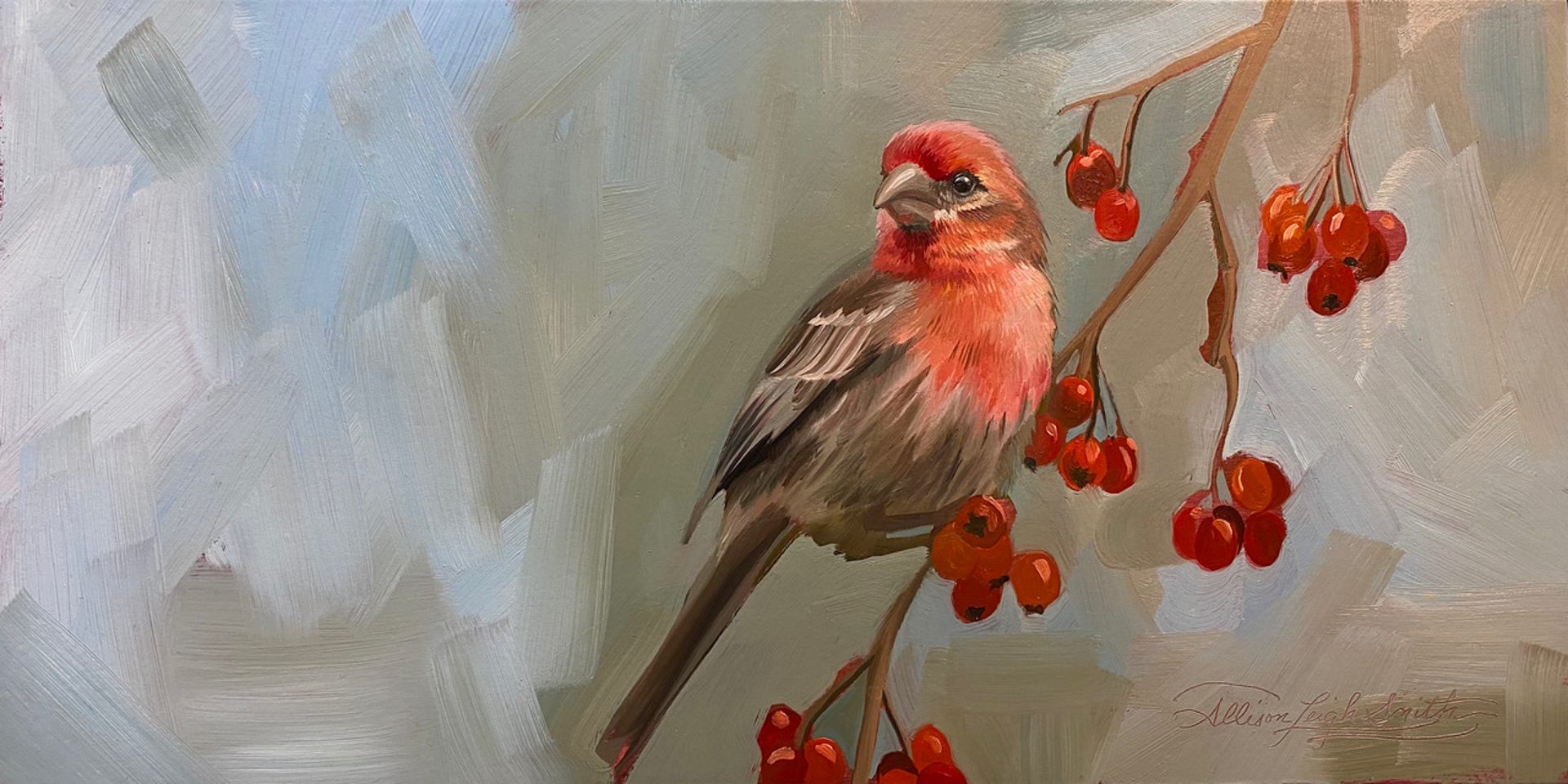 House Finch by Allison Leigh Smith