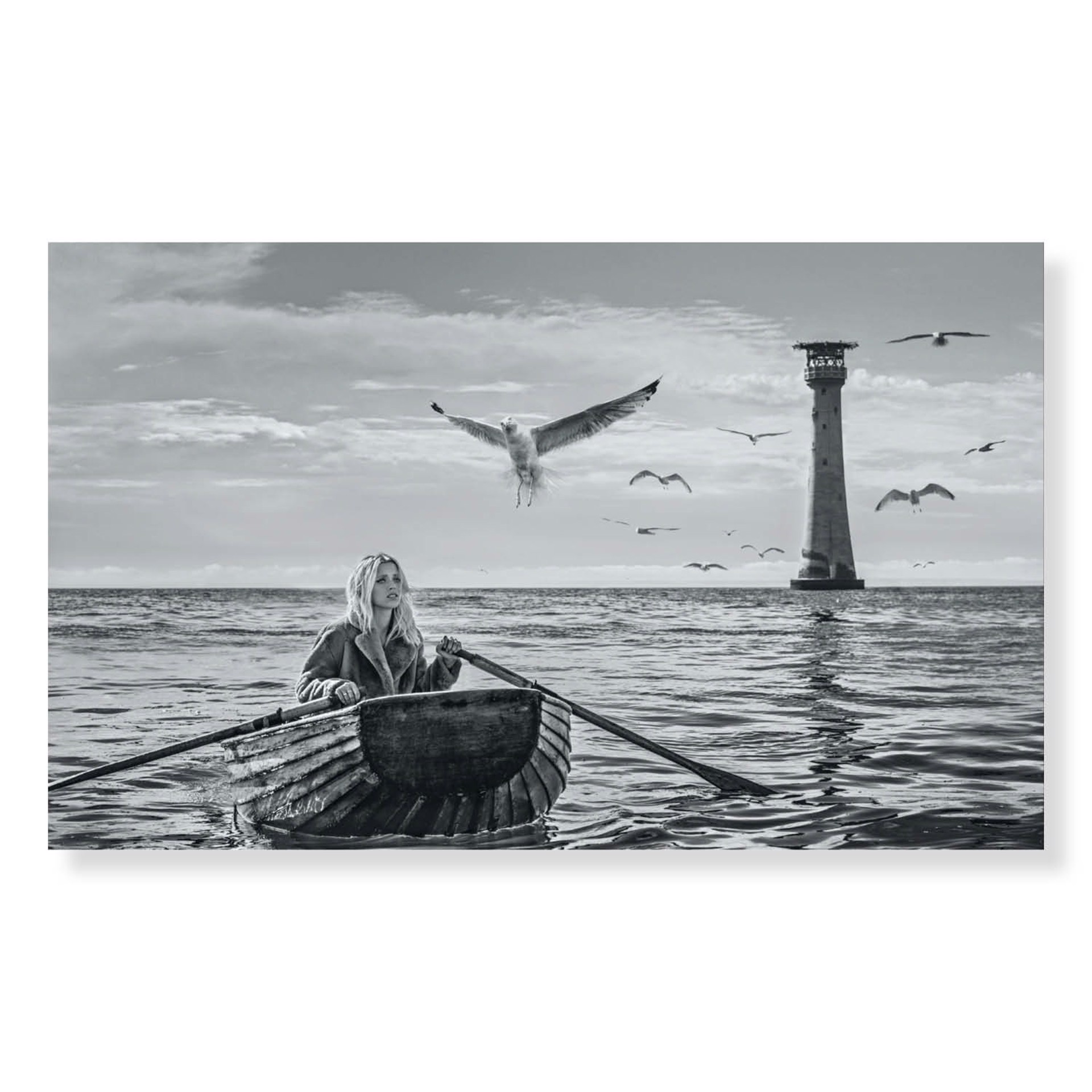 The Birds by David Yarrow