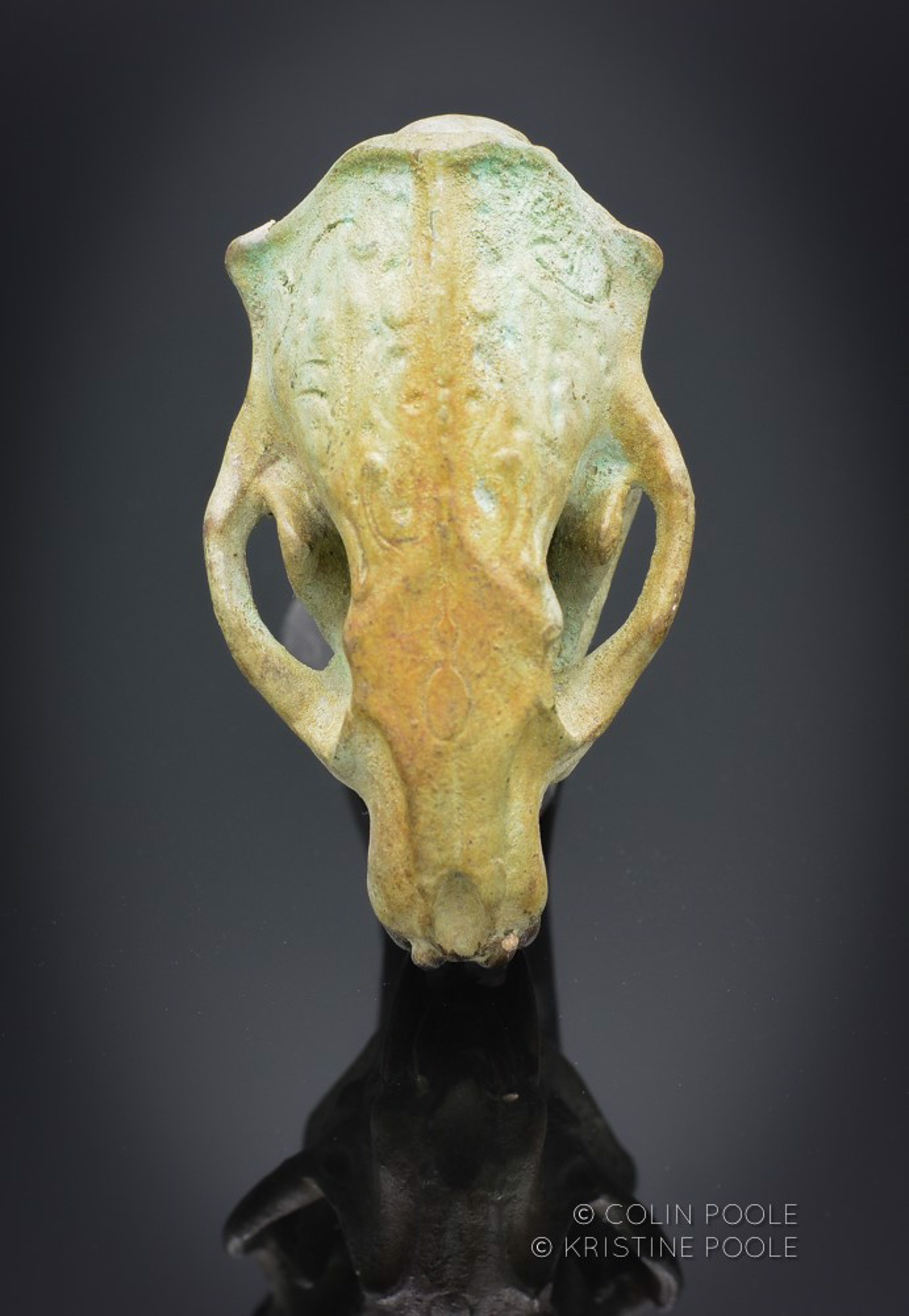 Mink Talisman Skull 1 by Colin & Kristine Poole