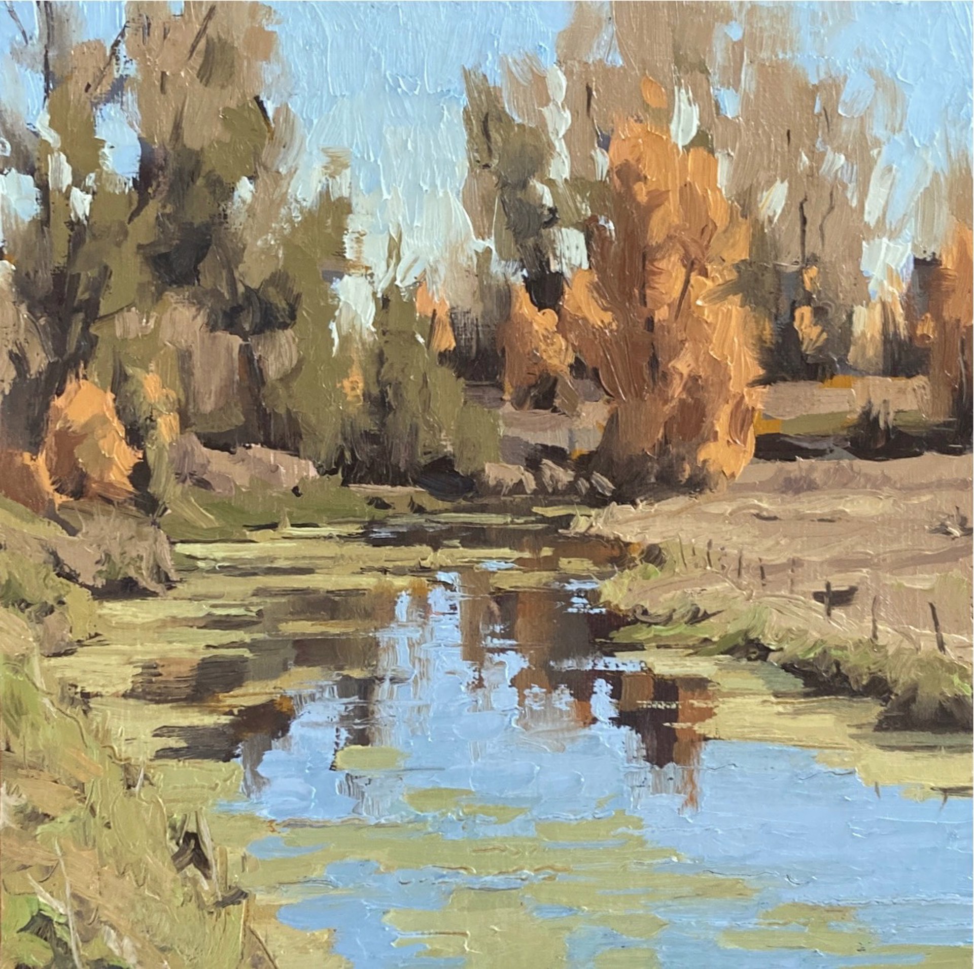 TEXAS SLOUGH by Donald Tapp