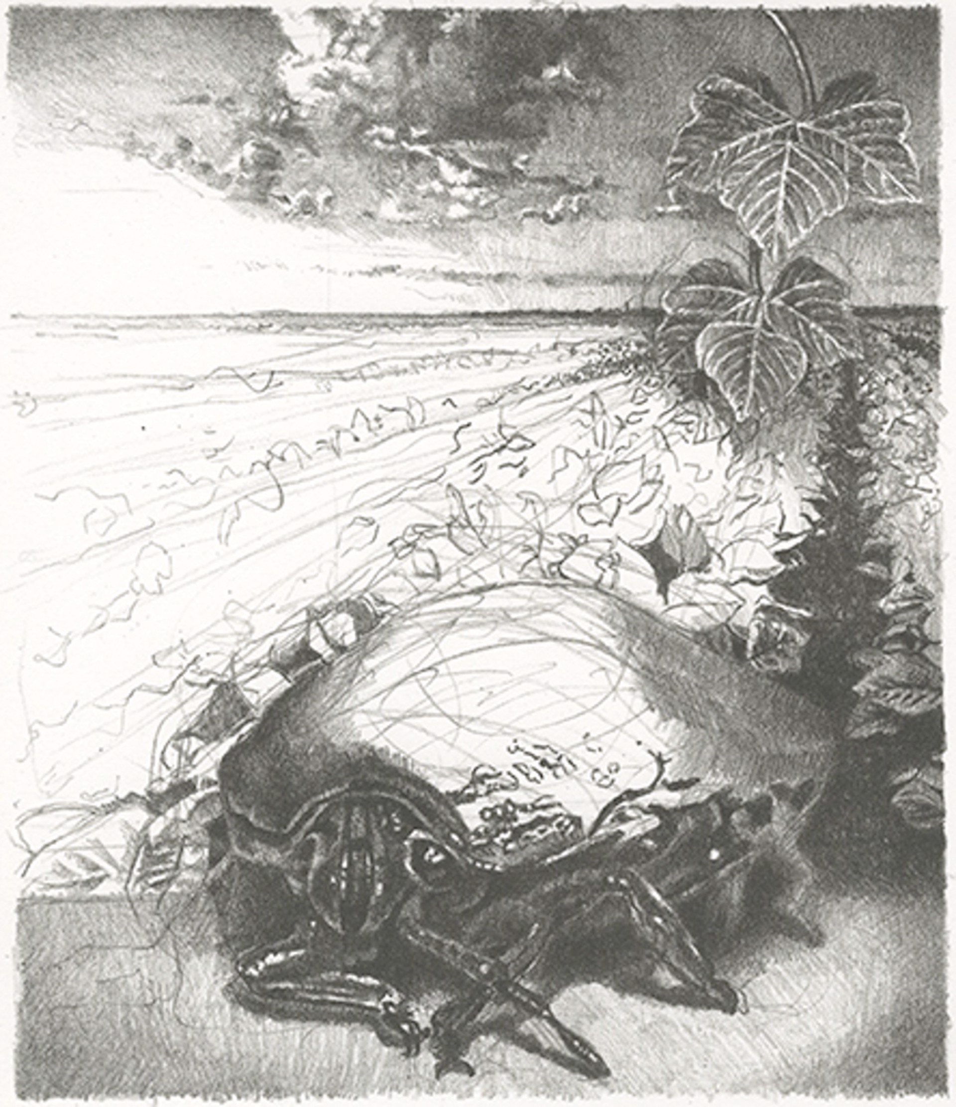 Kudzu by Curtis Bartone