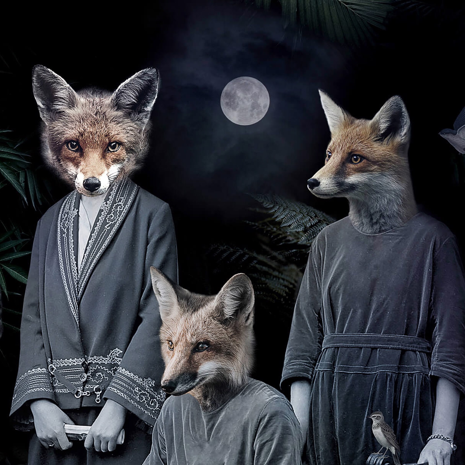 Never forget the Forest - Foxes by Marcin and Kate Owczarek