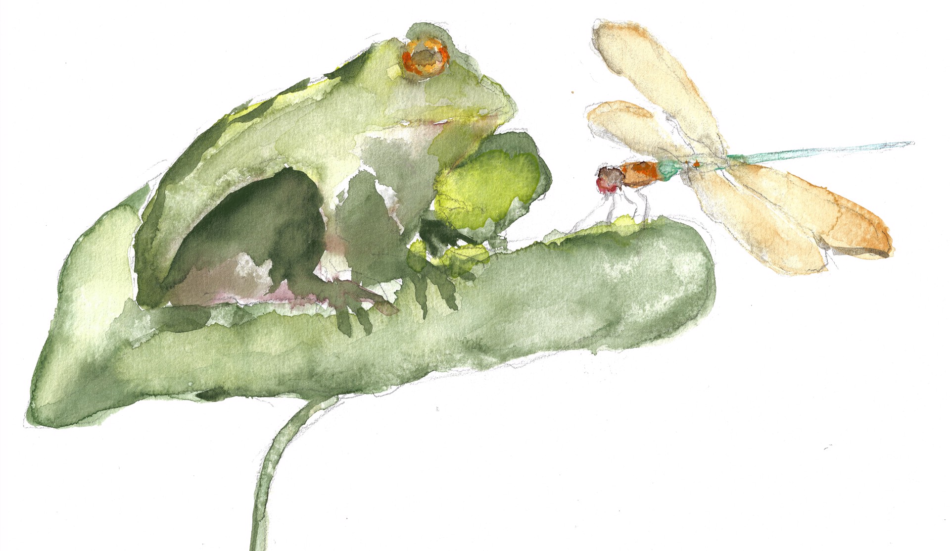 Frog with a Dragonfly Visitor by Anne Neilson