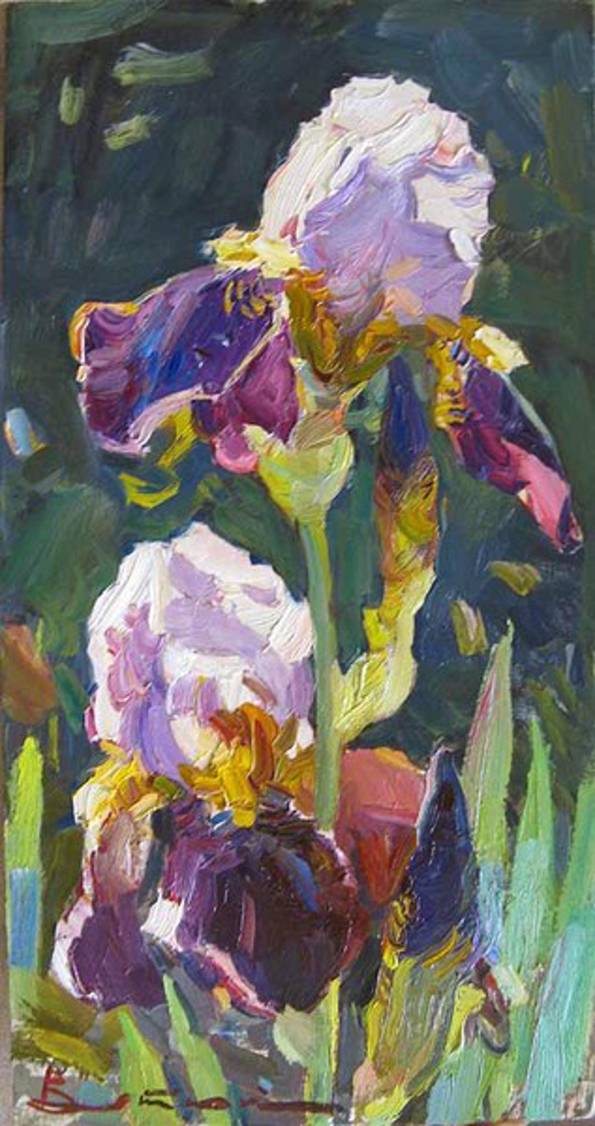 Irises by Ivan Vityuk
