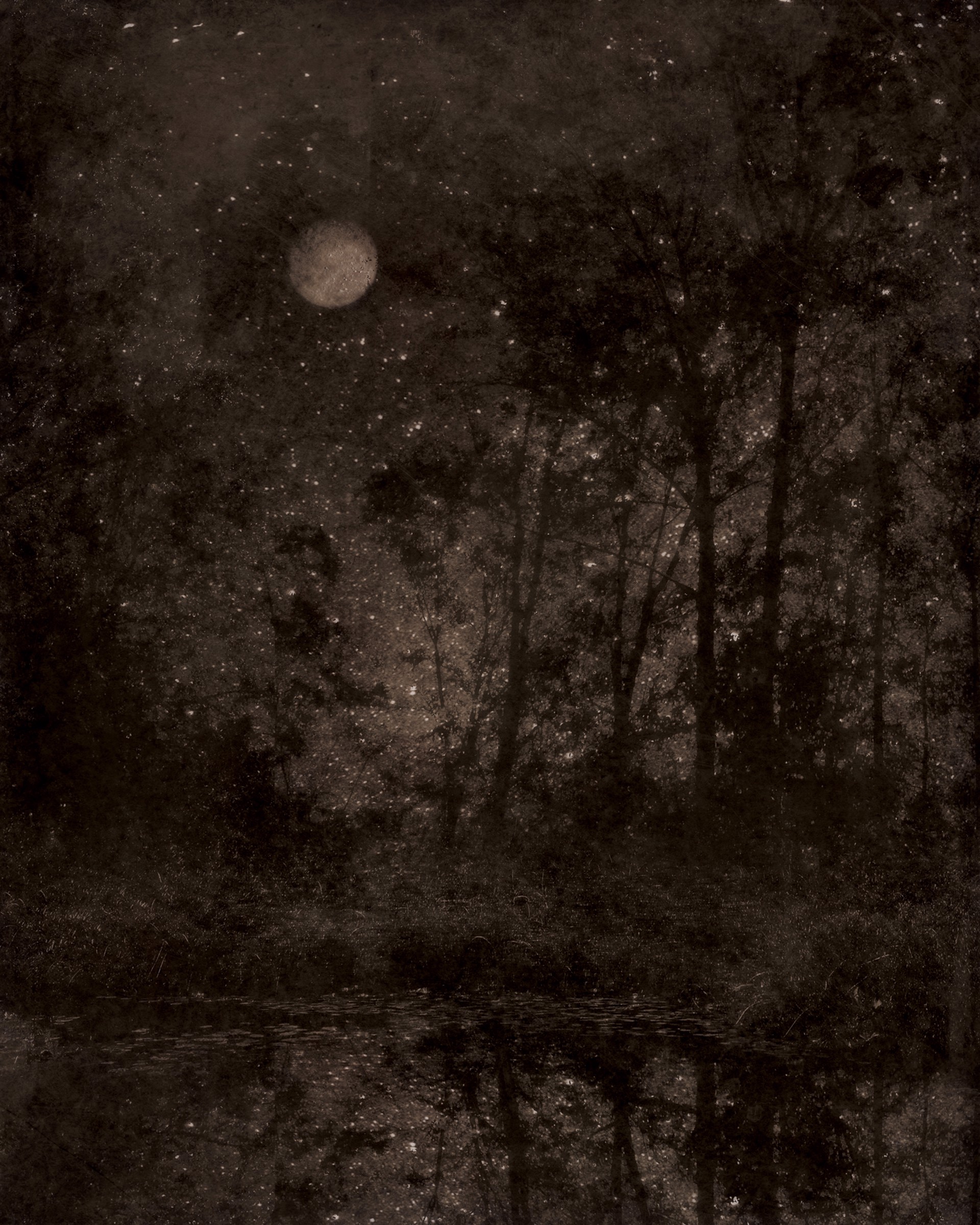 Nocturnal Landscape 108 by Ted Kincaid