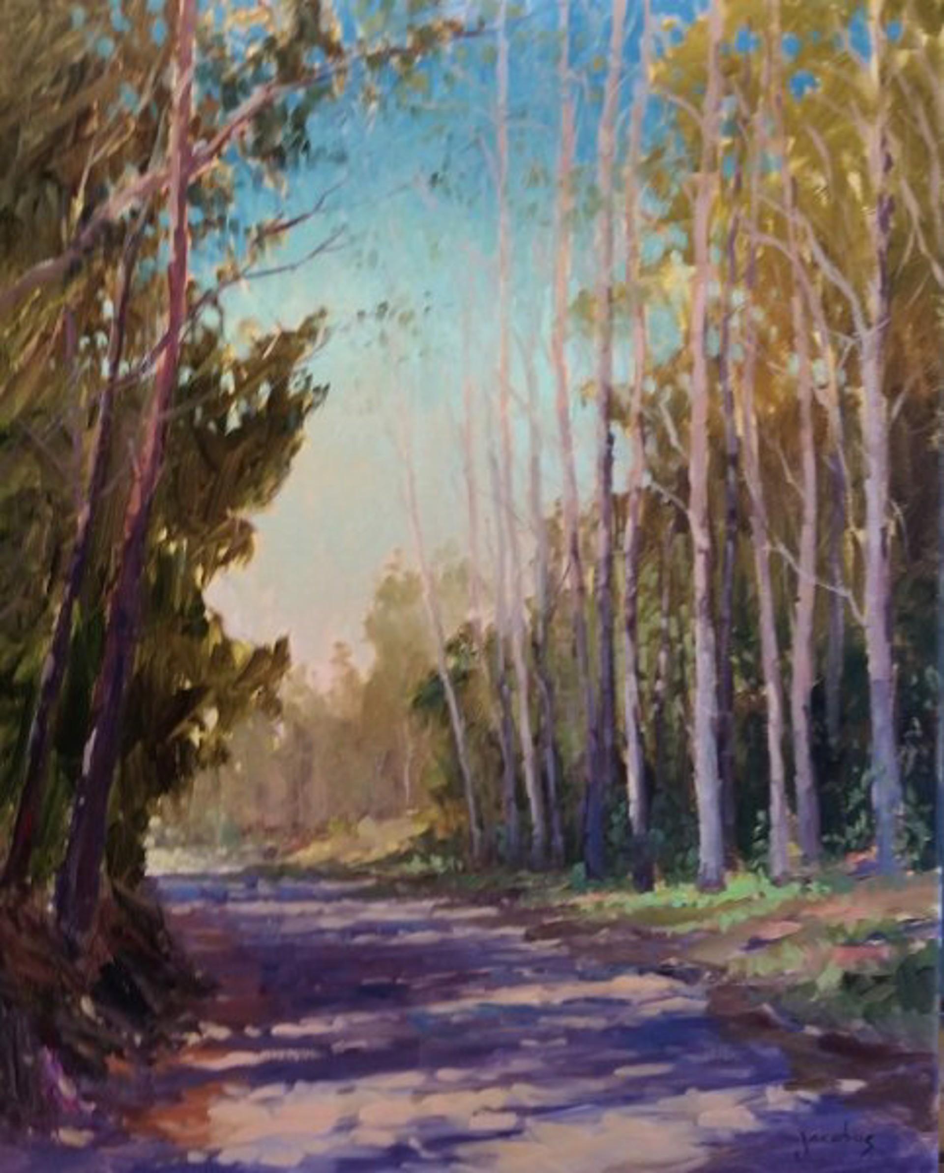 Jacobus: Eucalyptus Path by Jacobus Baas