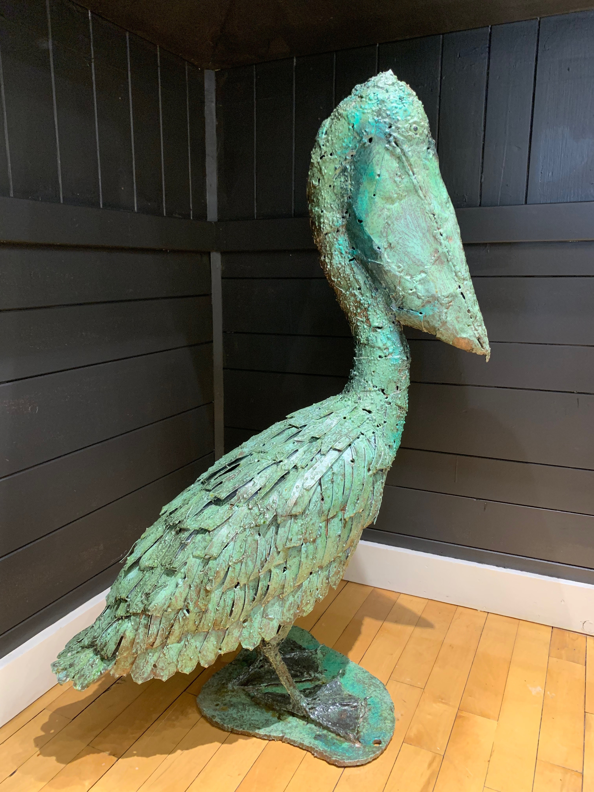 Pelican by William Allen