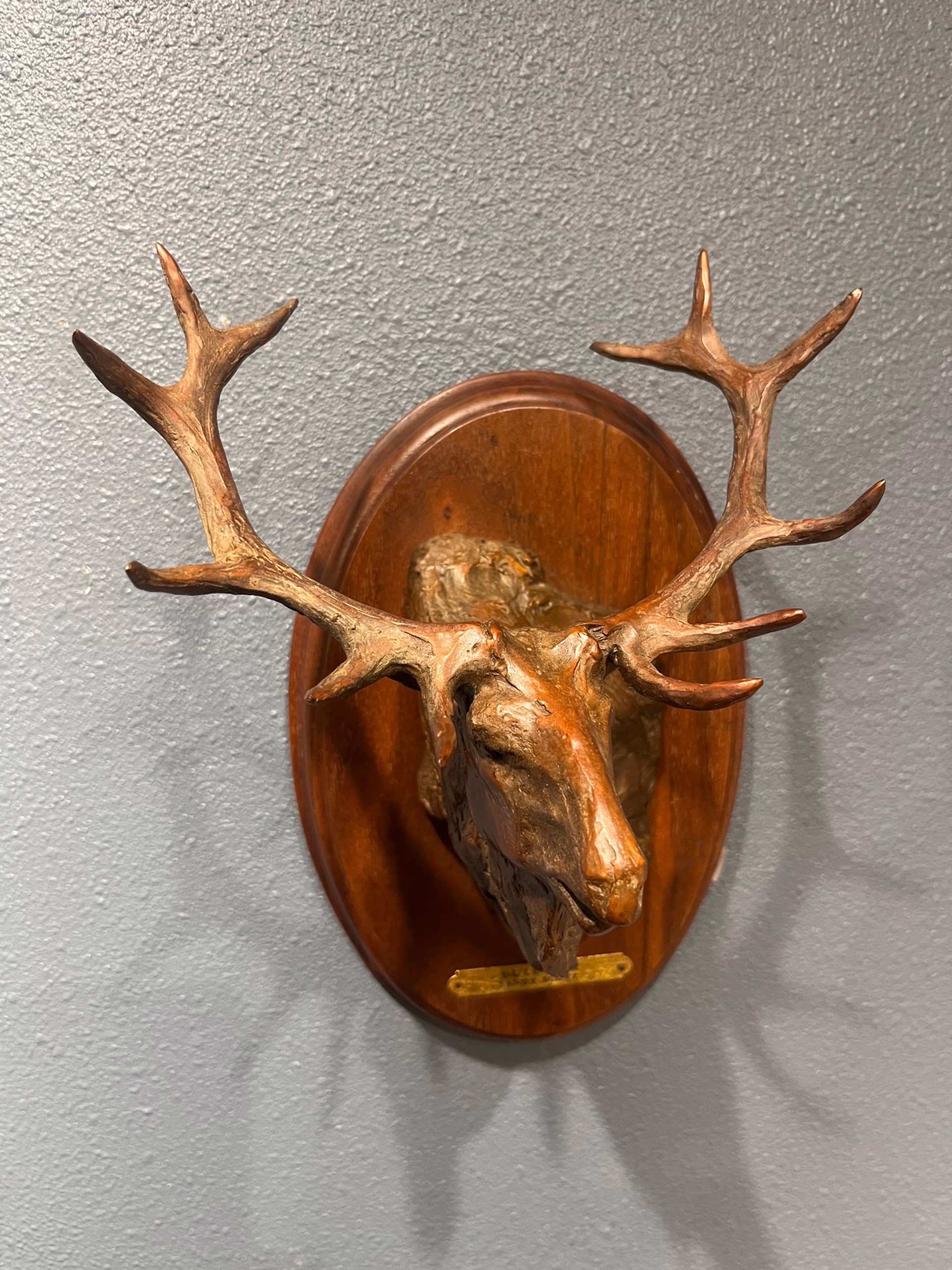 Bull Elk by Sandy Scott