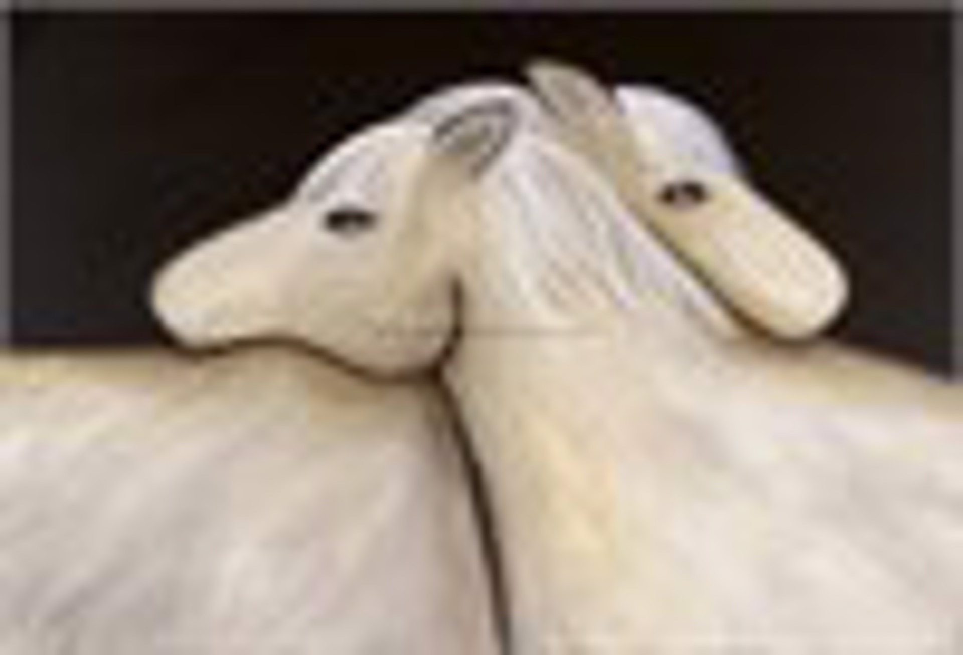 Night Sky/White Horses - LARGE Canvas $3500 by Carole LaRoche