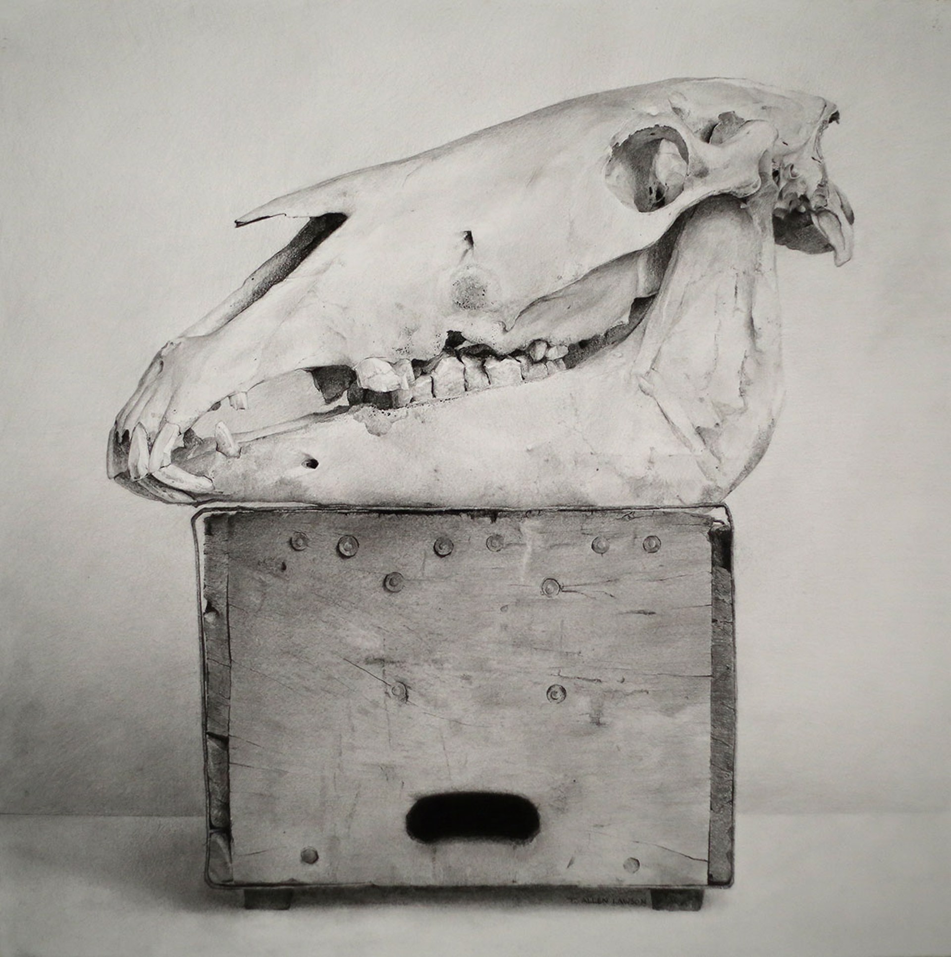 Relic by T. Allen Lawson