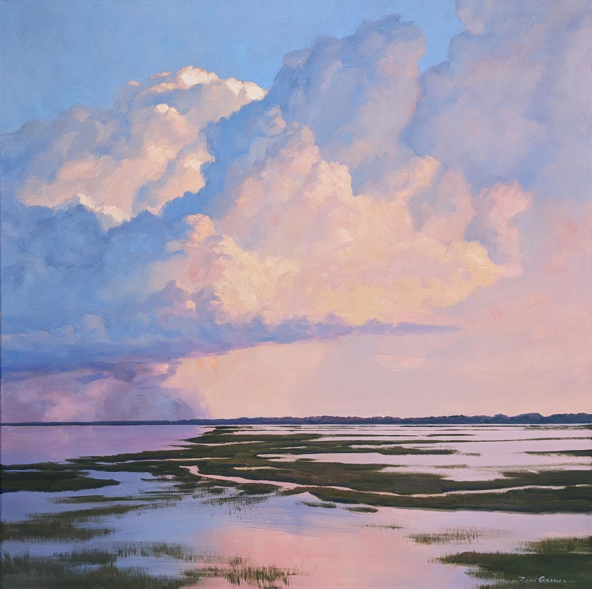 Full Sail by Rani Garner