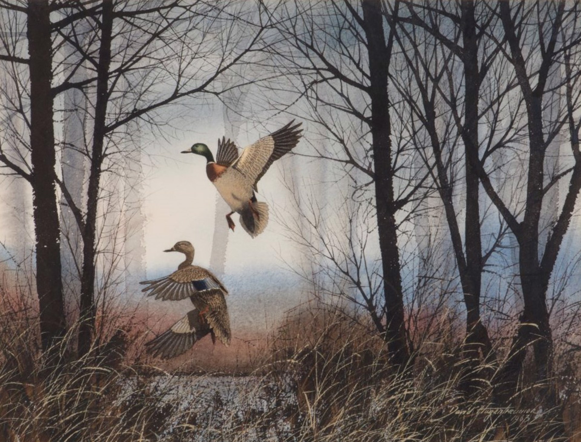 Marsh Mallards by David Hagerbaumer