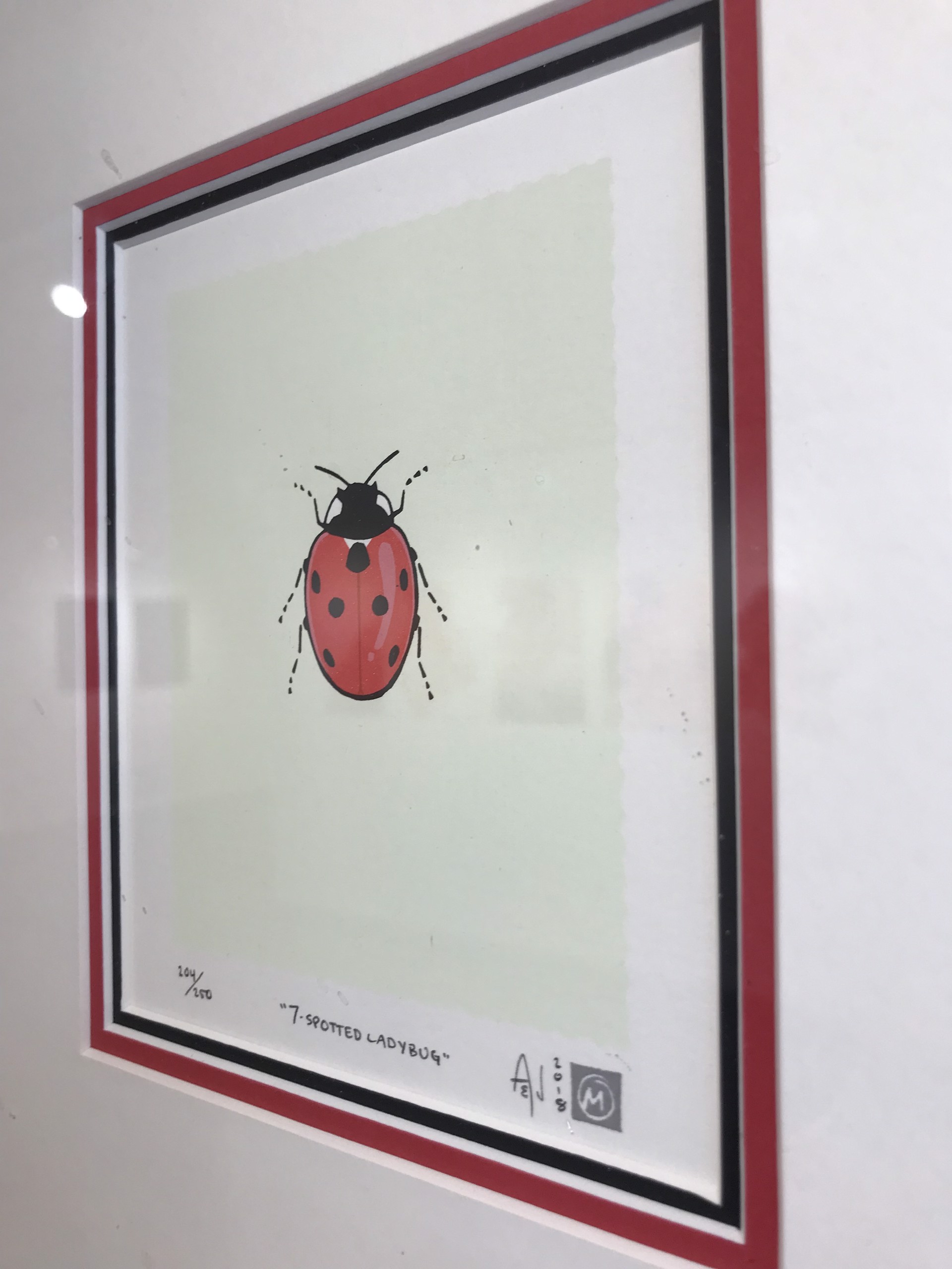 7 Spotted Lady Bug by Allison & Jonathan Metzger
