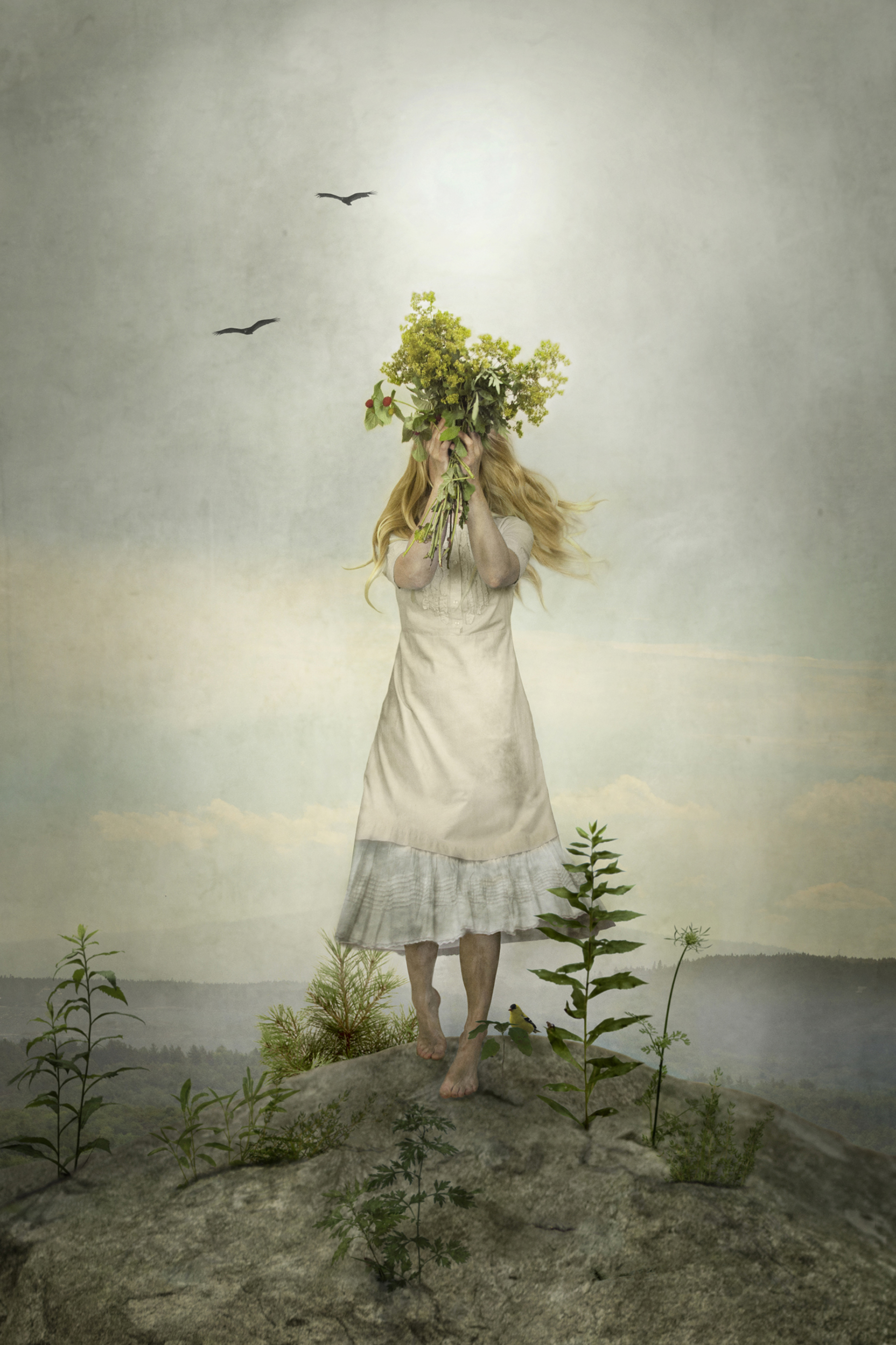 The Herbalist by Elisabeth Ladwig