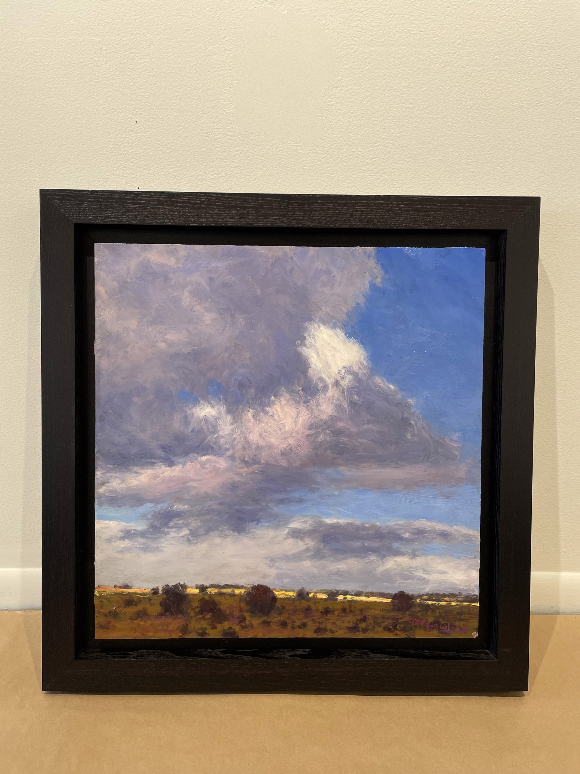 Desert Grasslands with Passing Clouds 2 by Gary Bowling