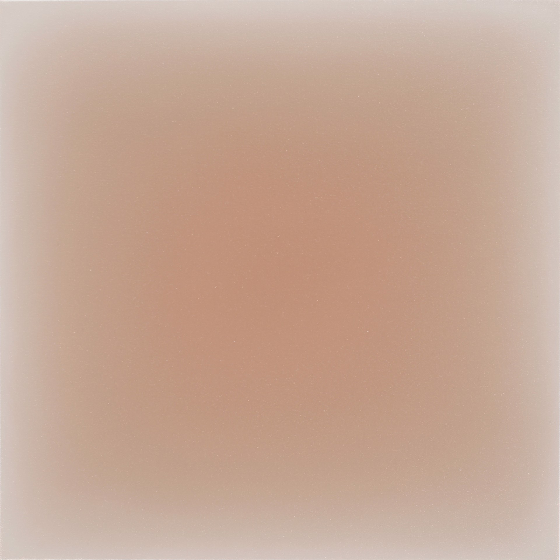 07.07.21, pinkish brown on raw umber by Gwen Hardie