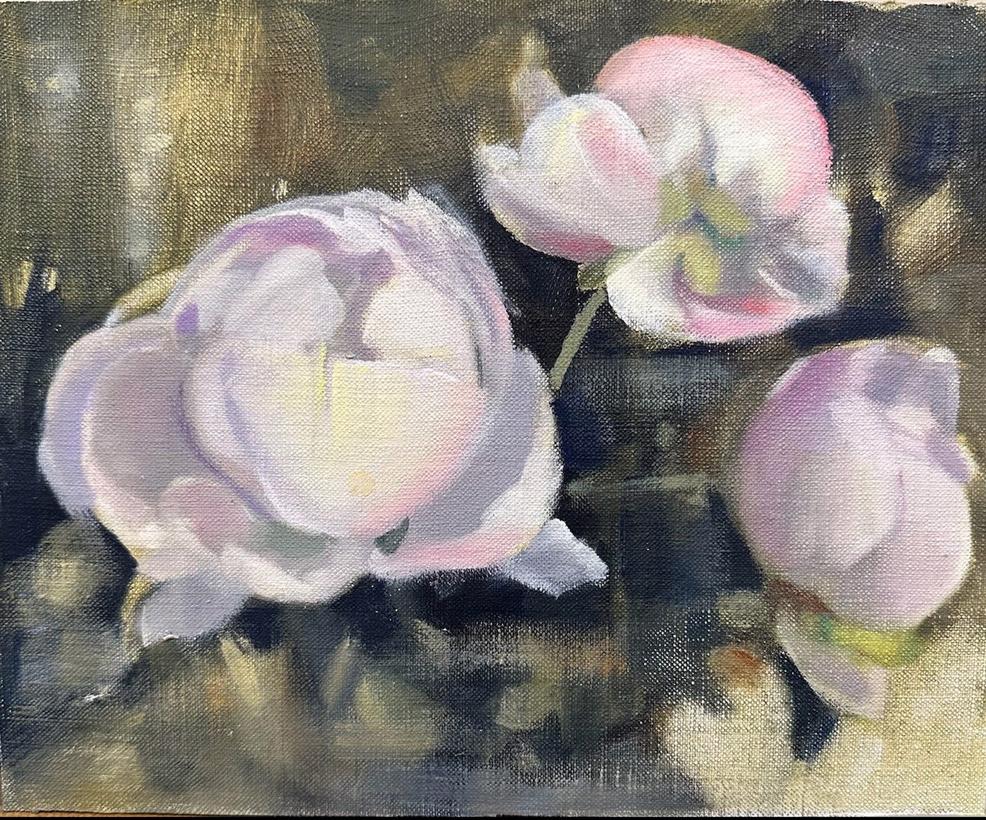 Peonies, Early Spring by Ann Feldman